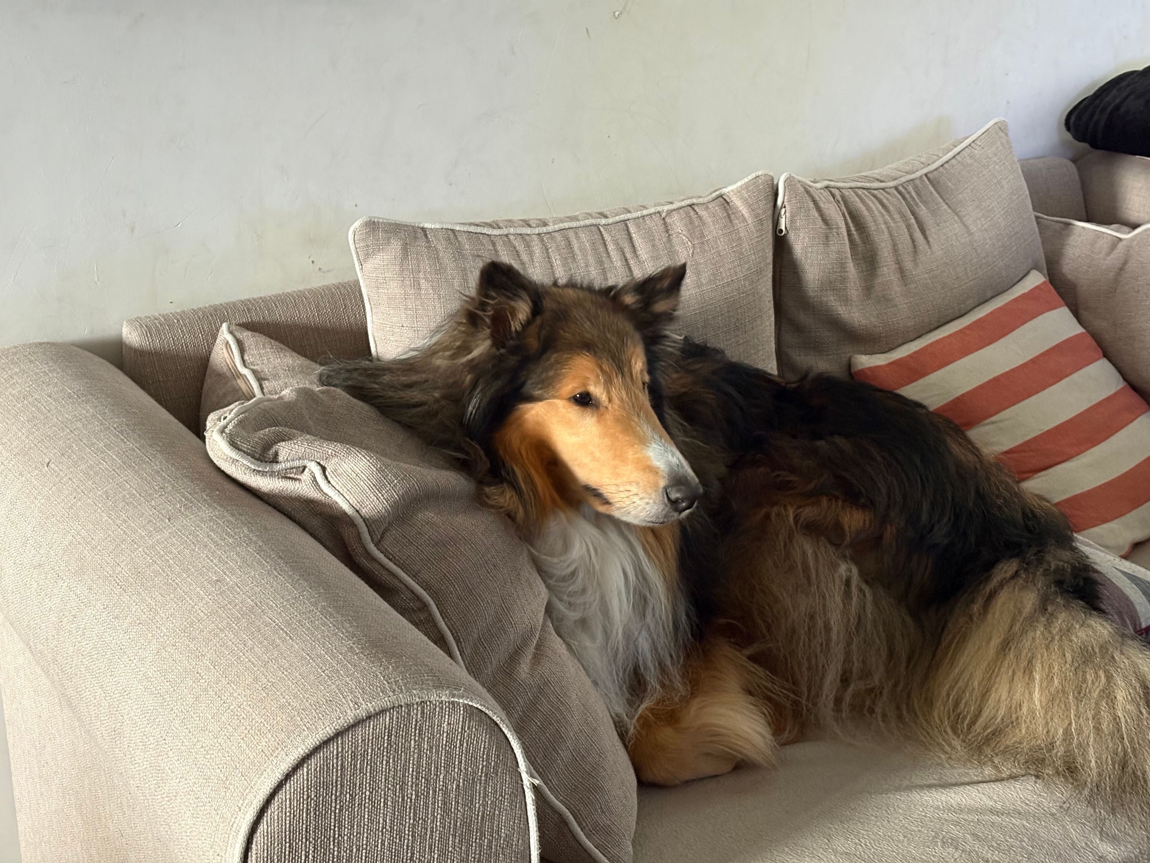 image-9