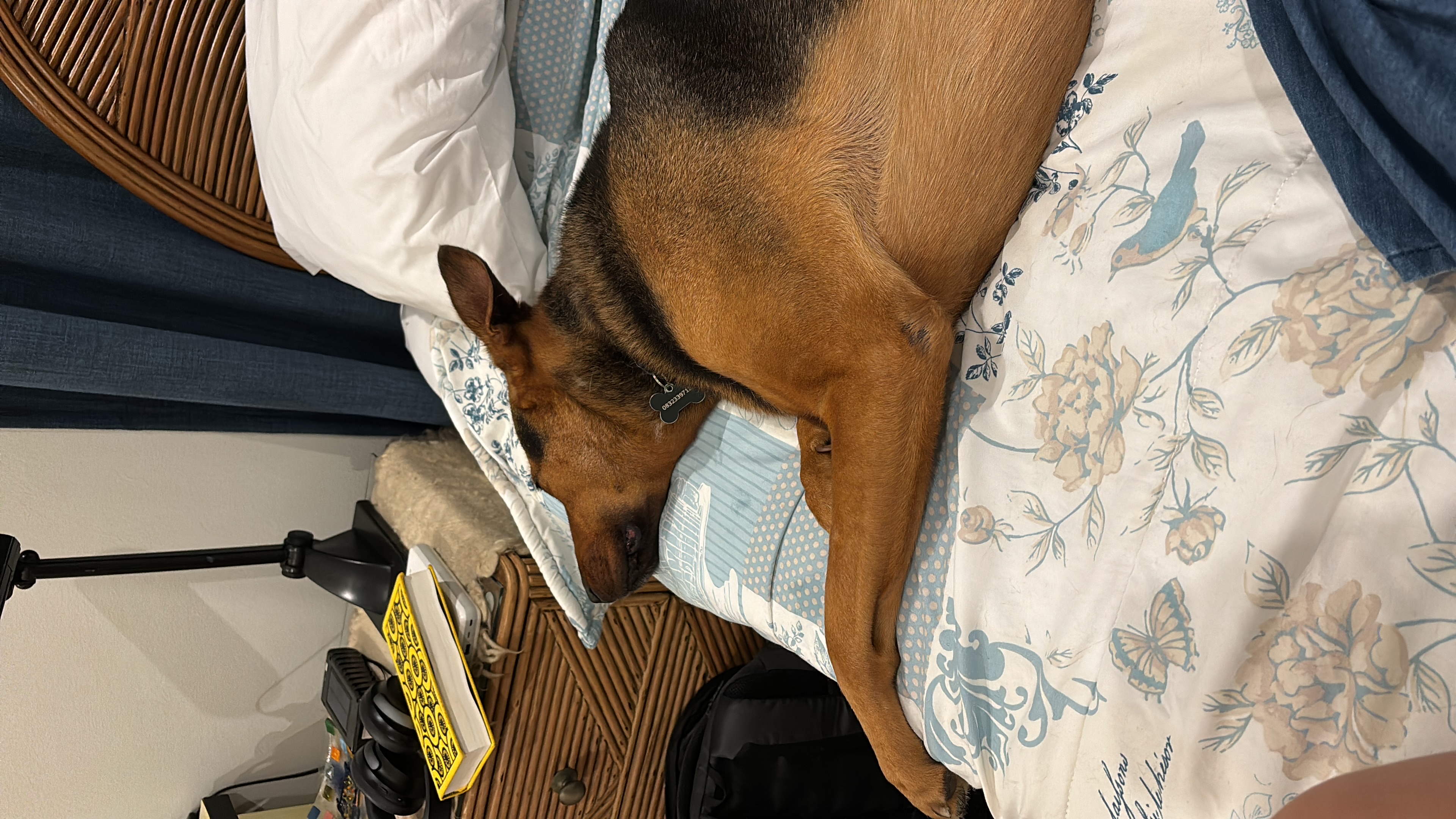 image-6