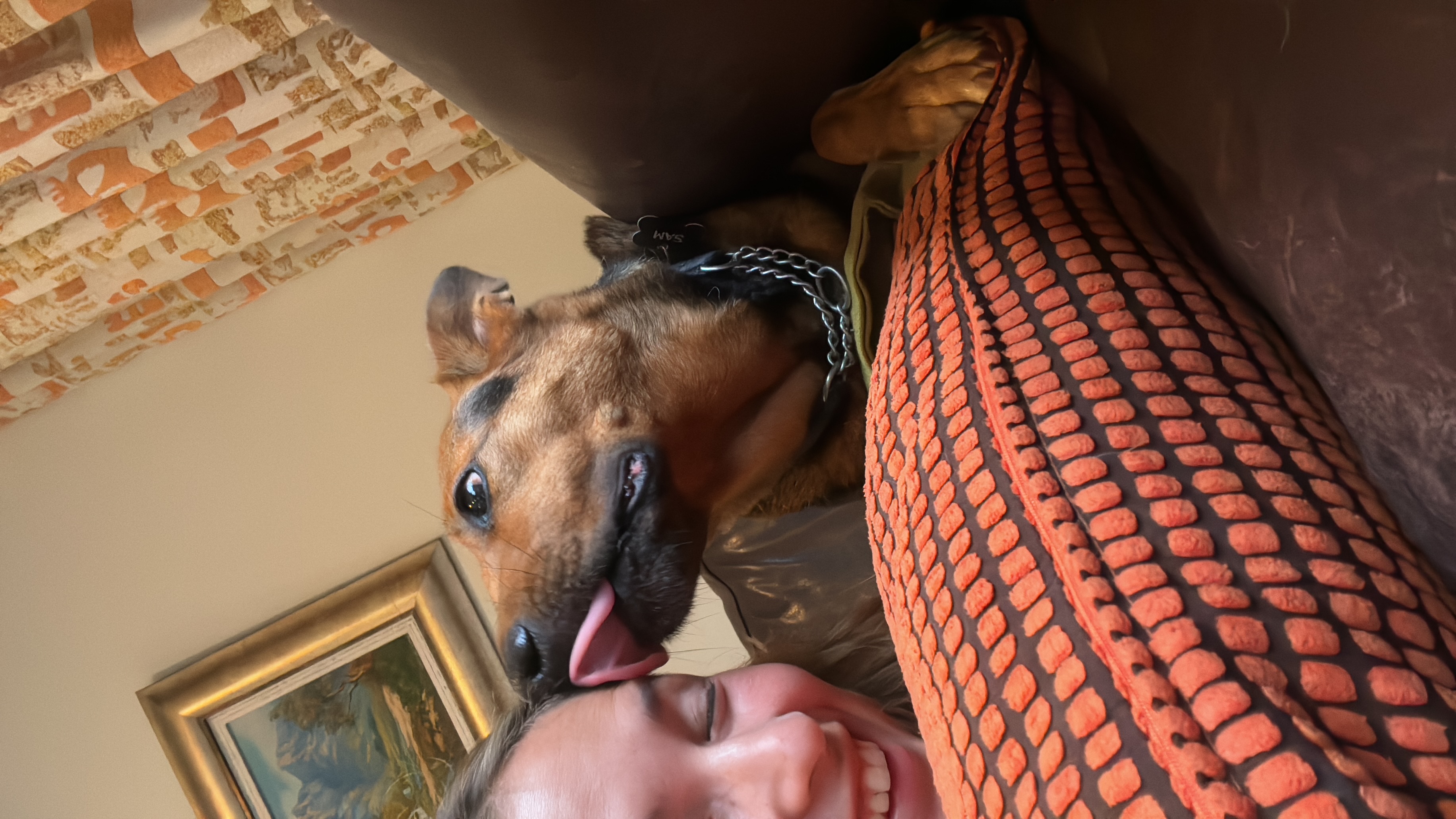 image-9