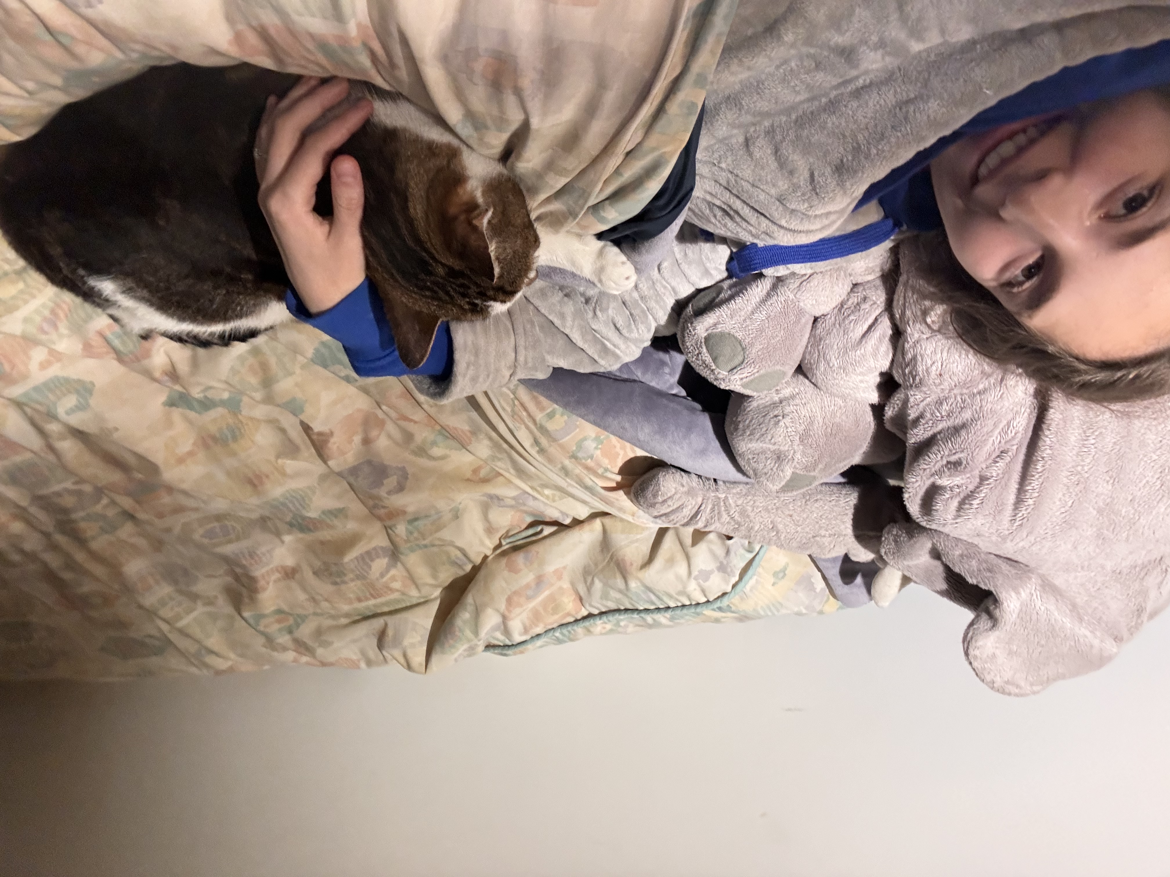 image-2