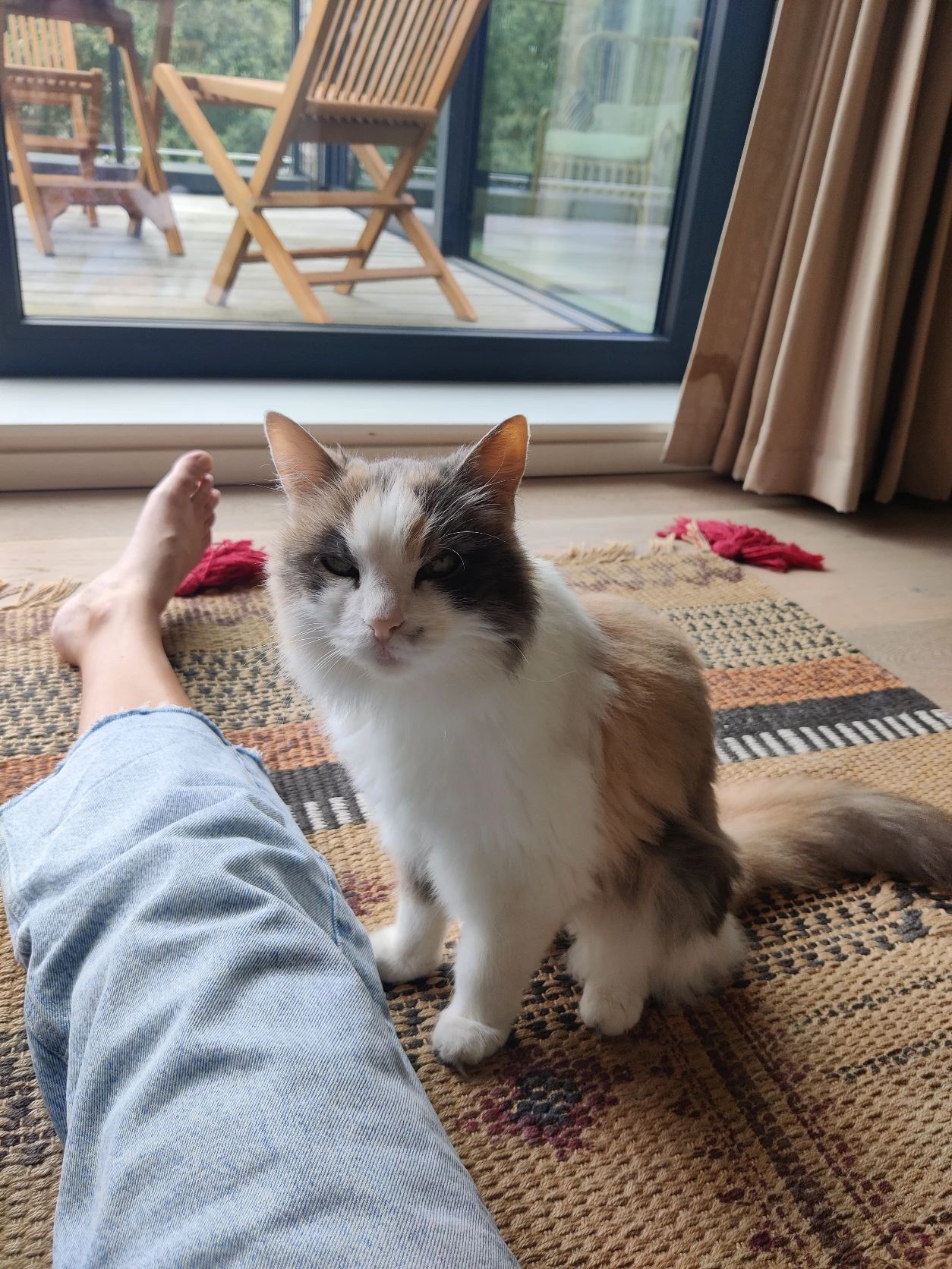 image-8