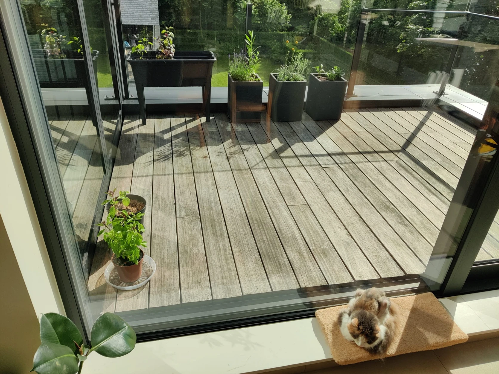 image-19