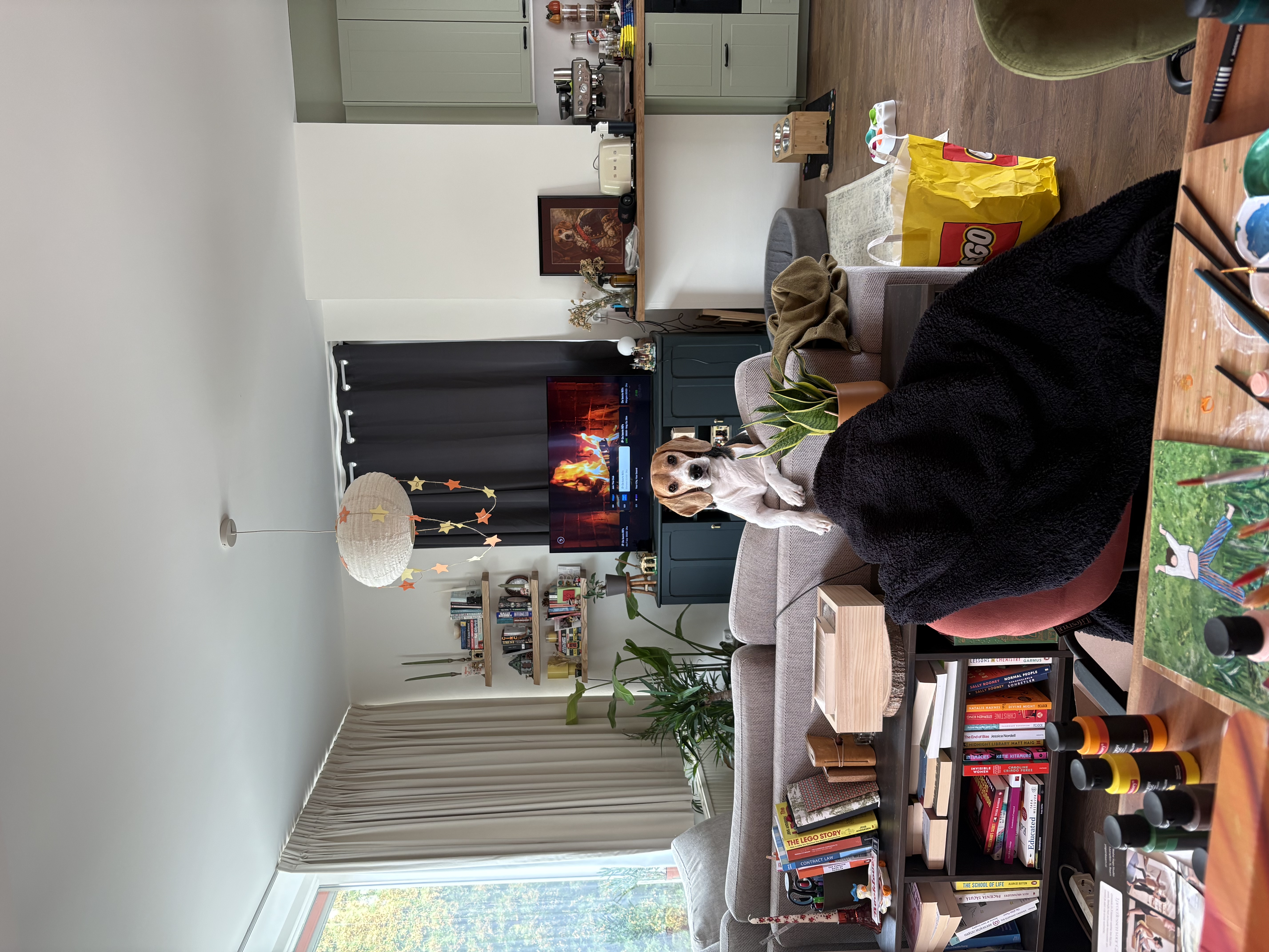 image-7