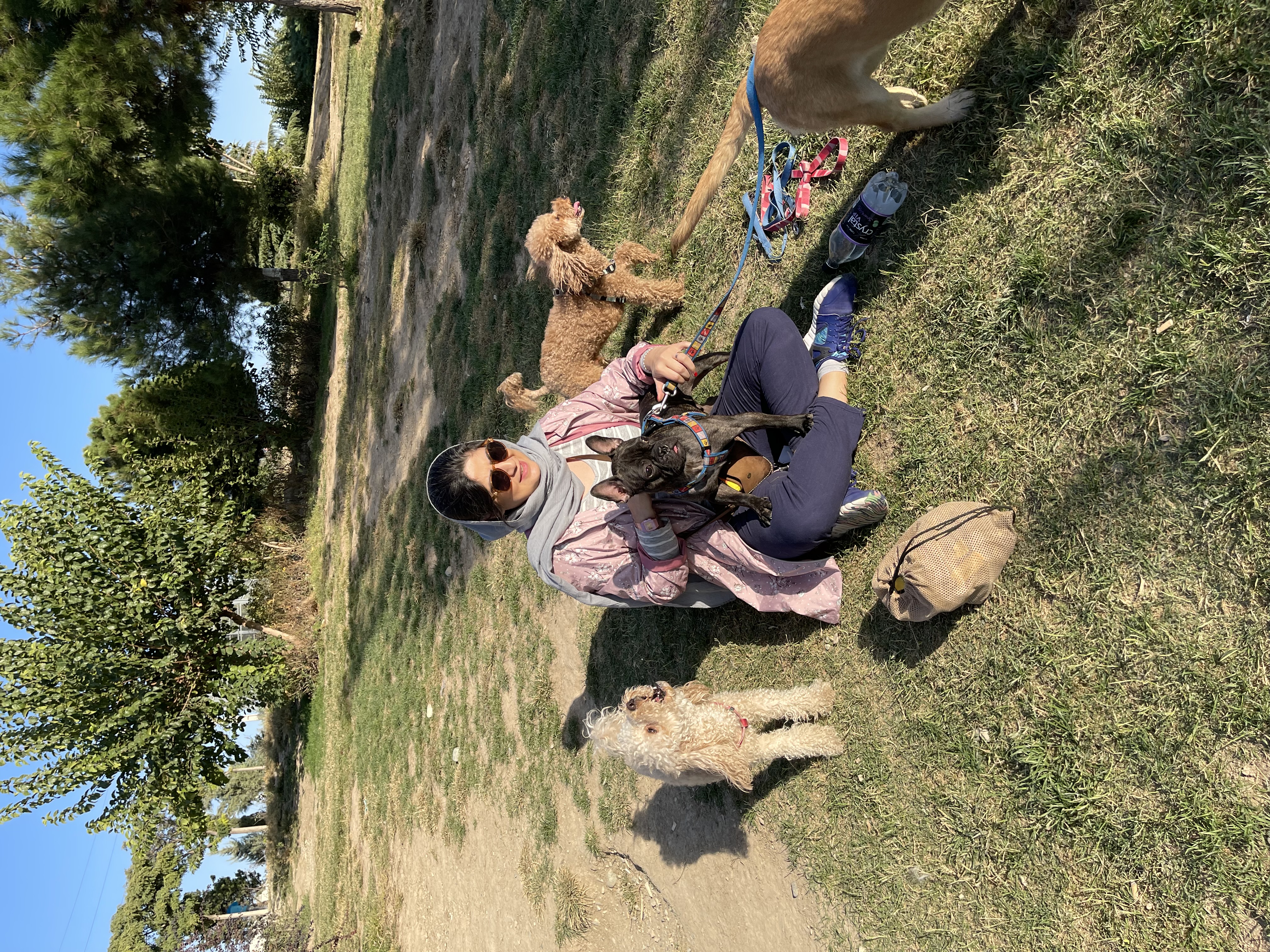 image-9