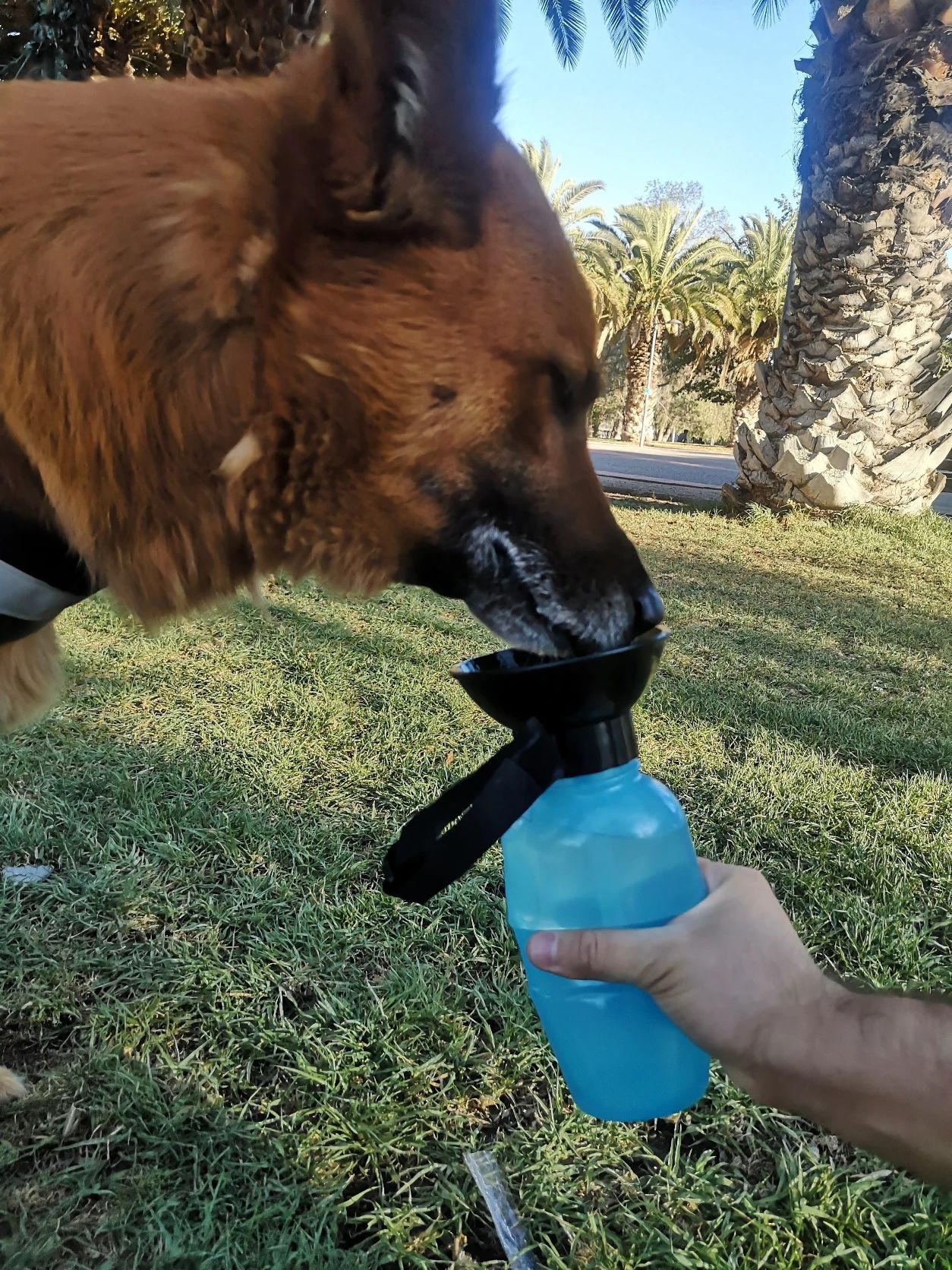 image-6
