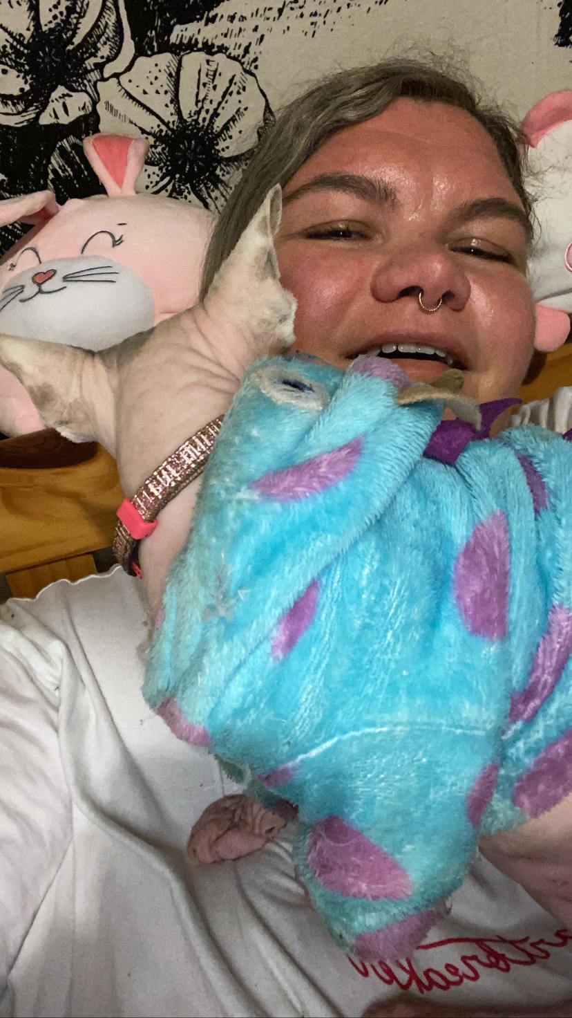 image-6