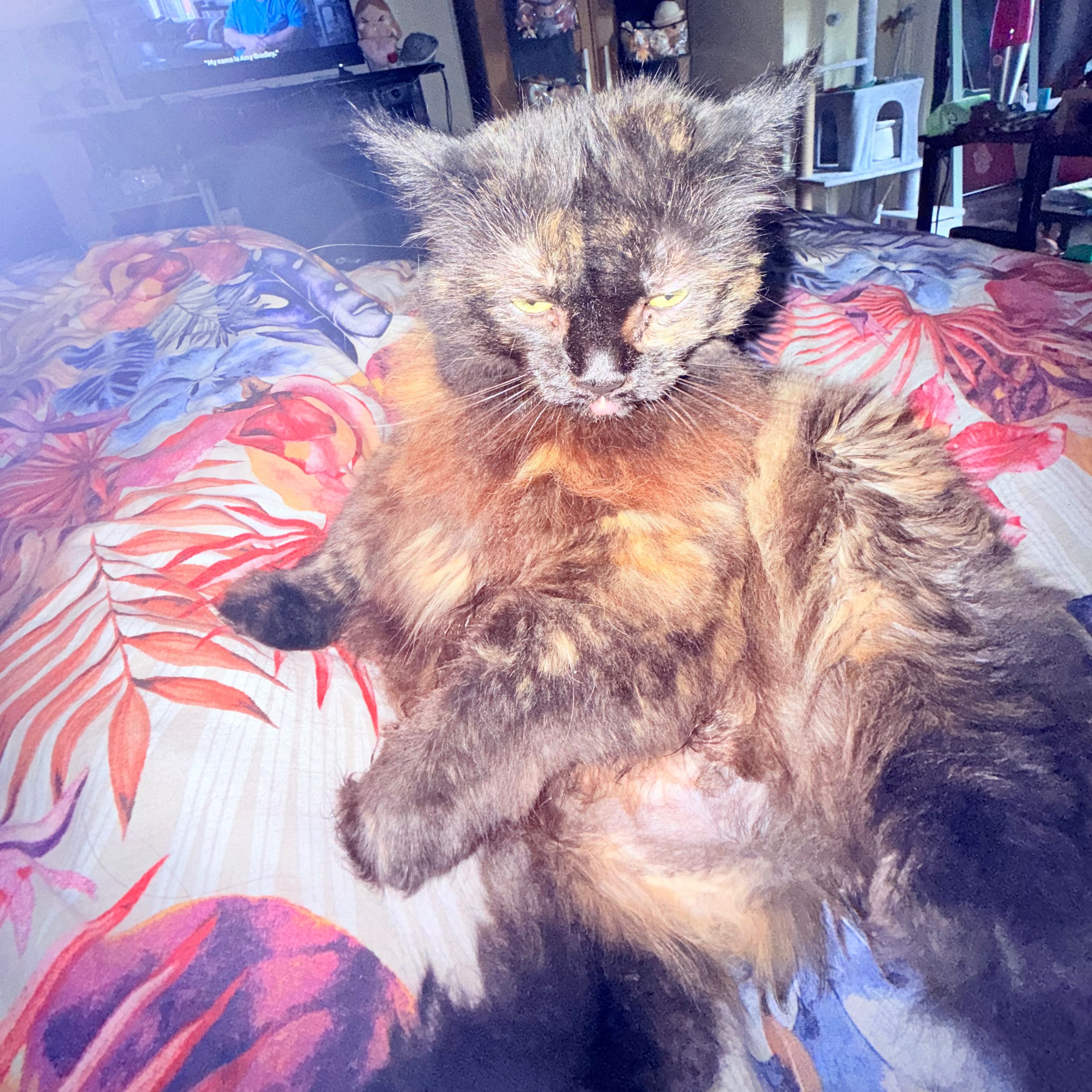 Millie