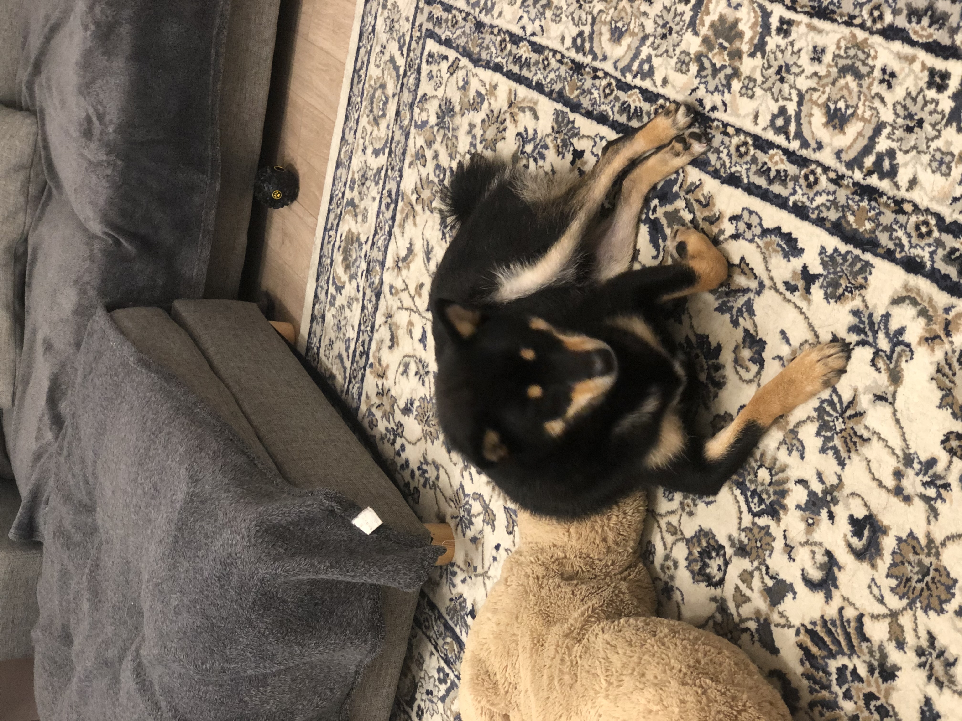 image-6
