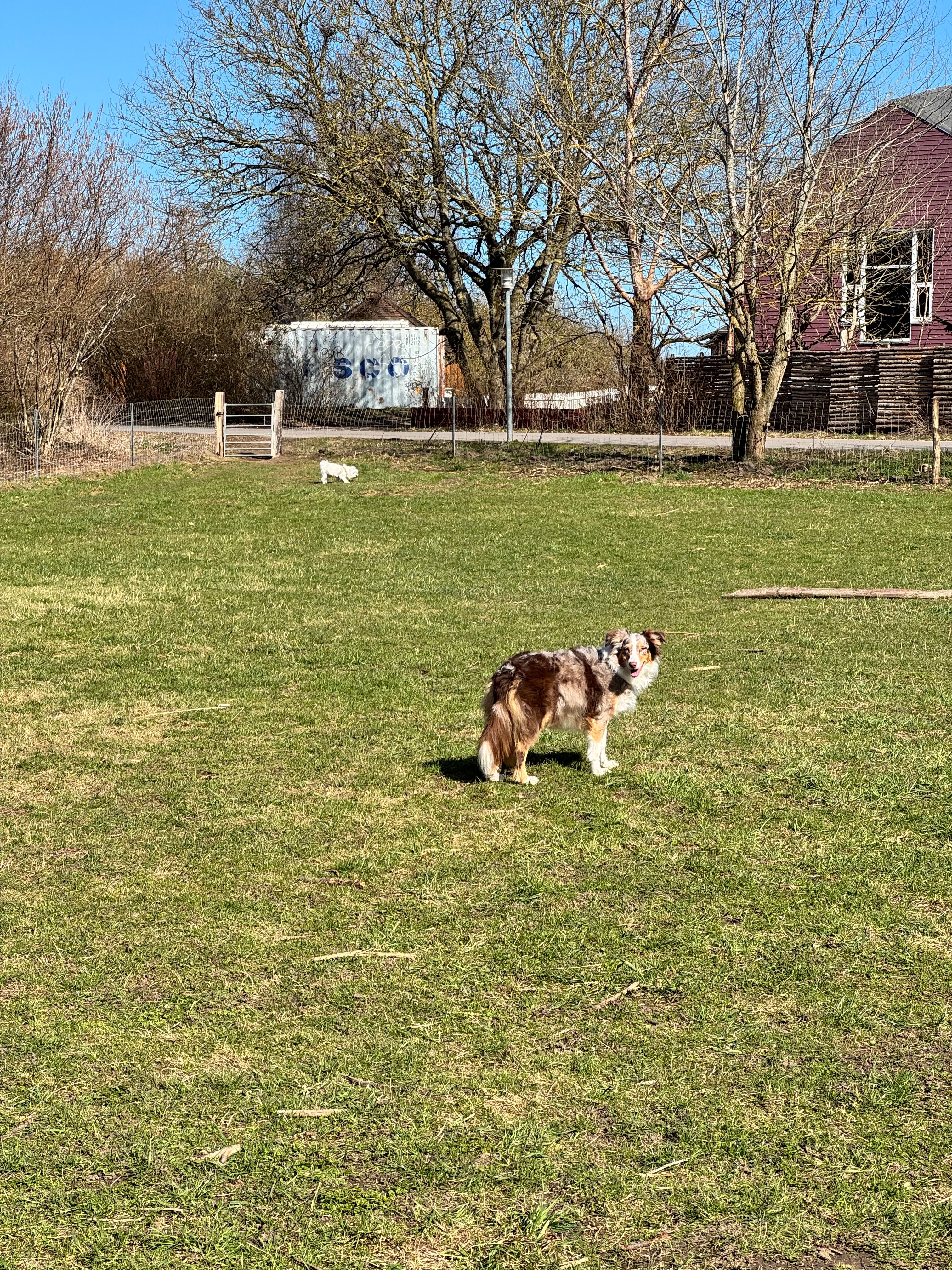 image-27