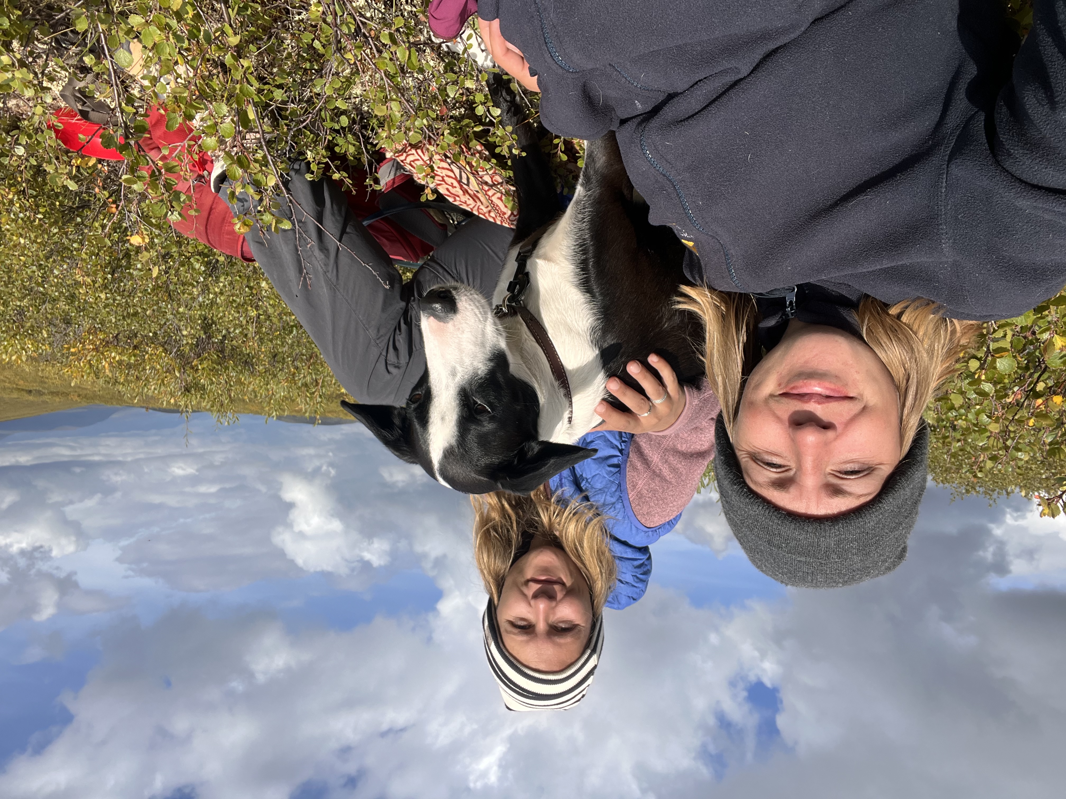image-2