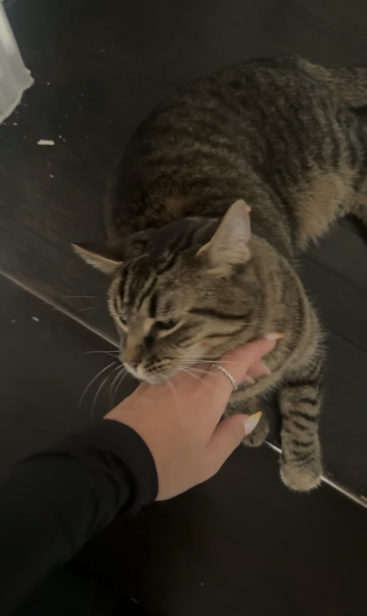 image-11
