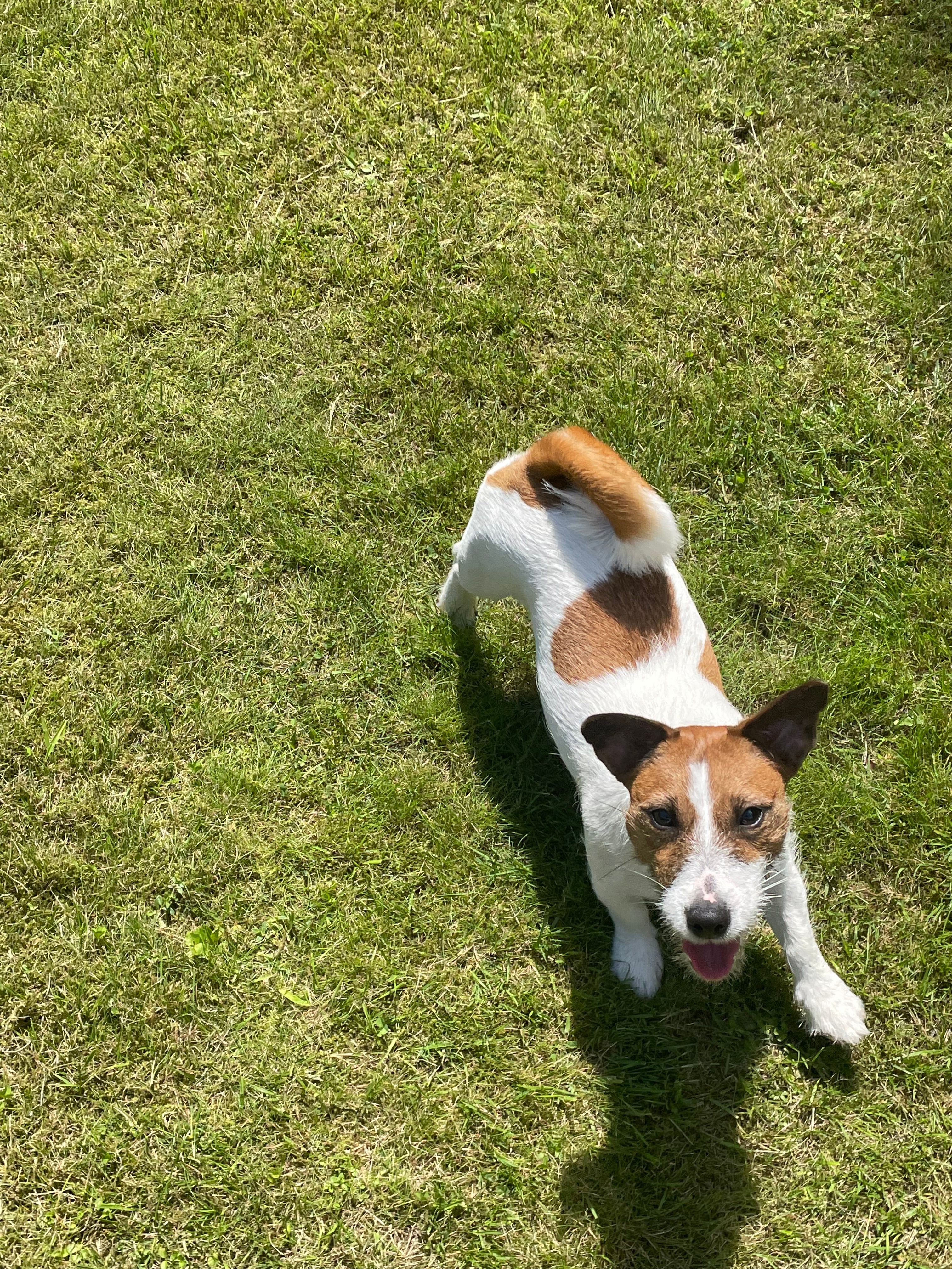 image-9
