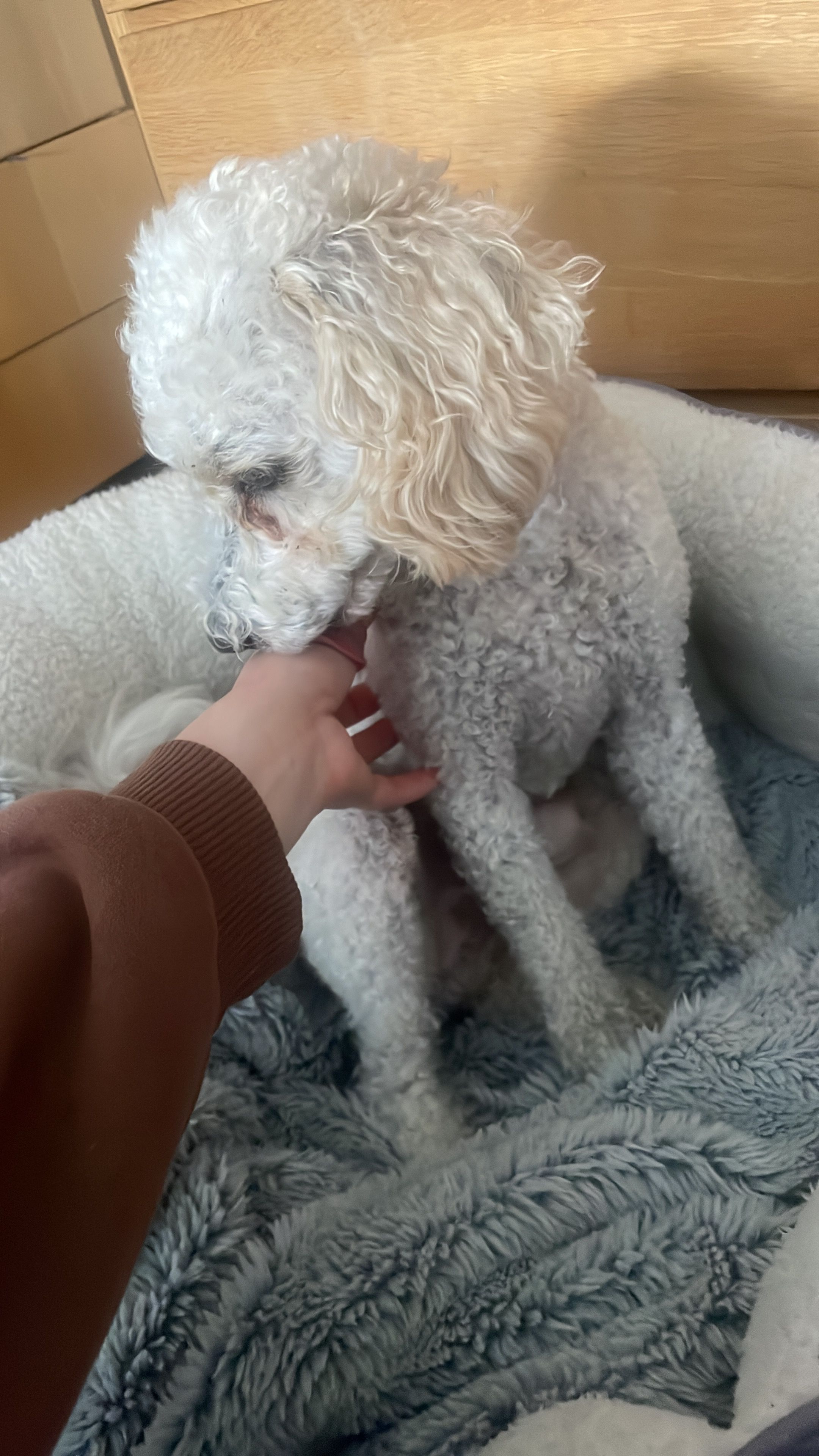 image-7