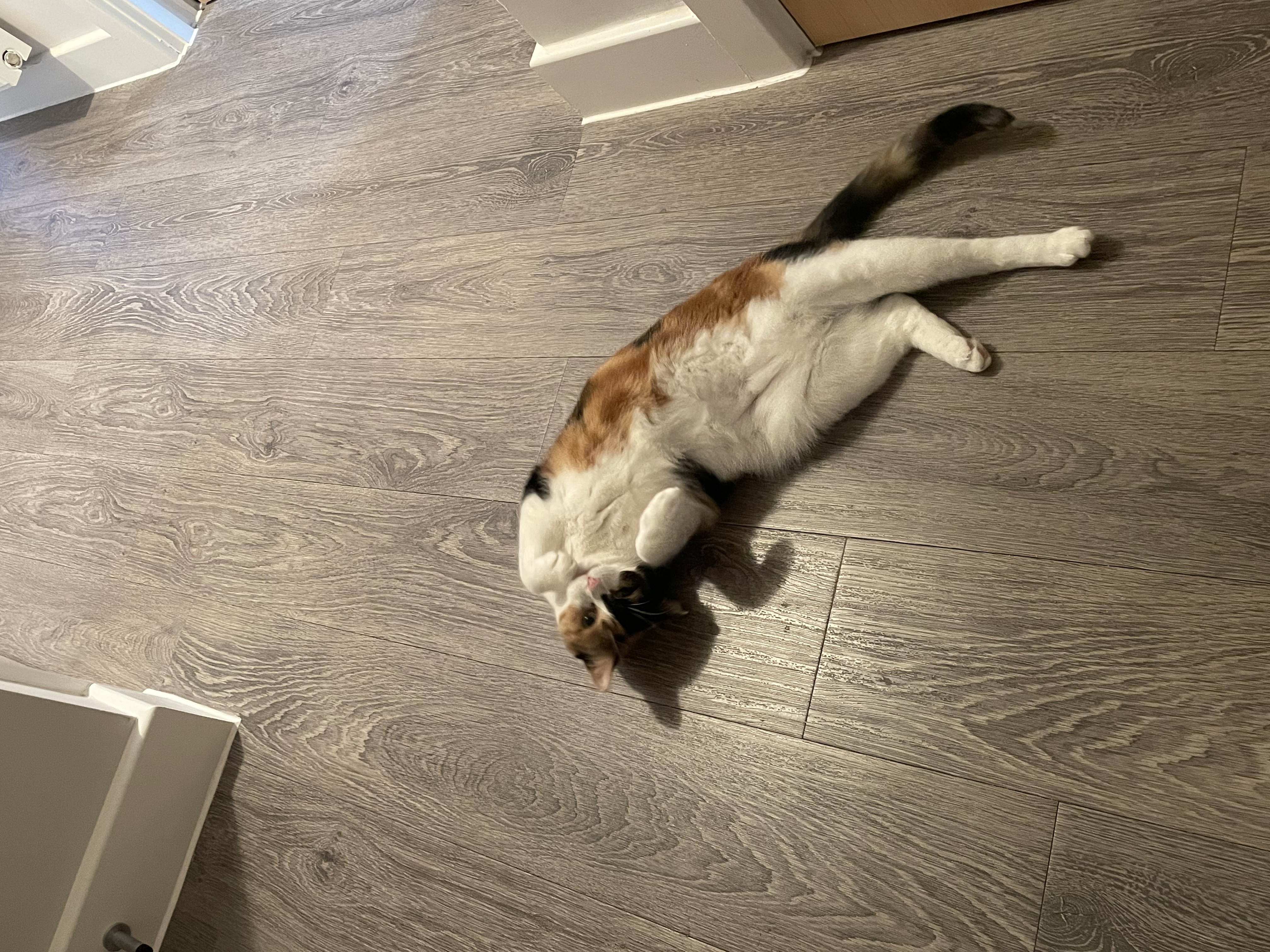 image-15