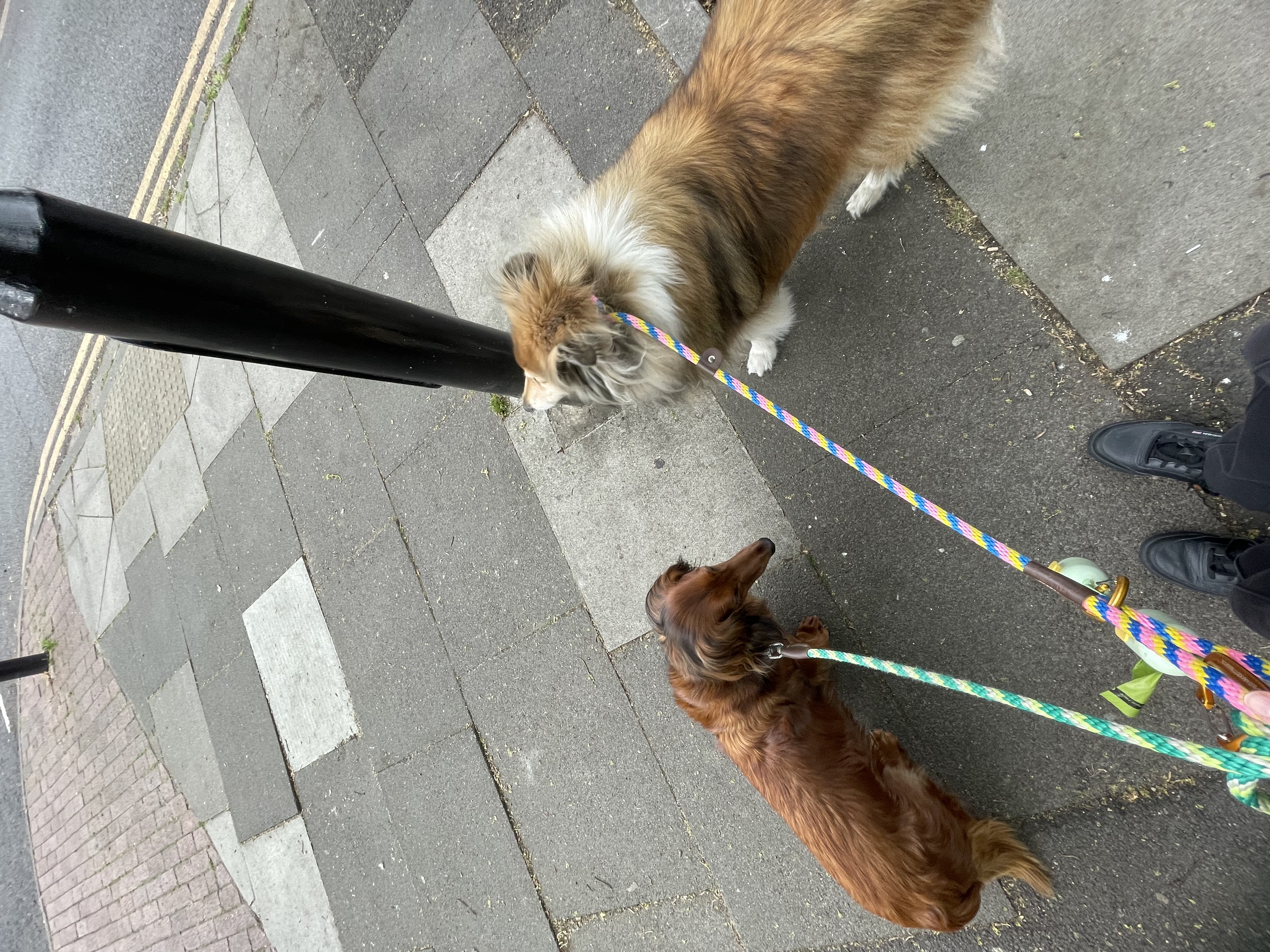 image-12