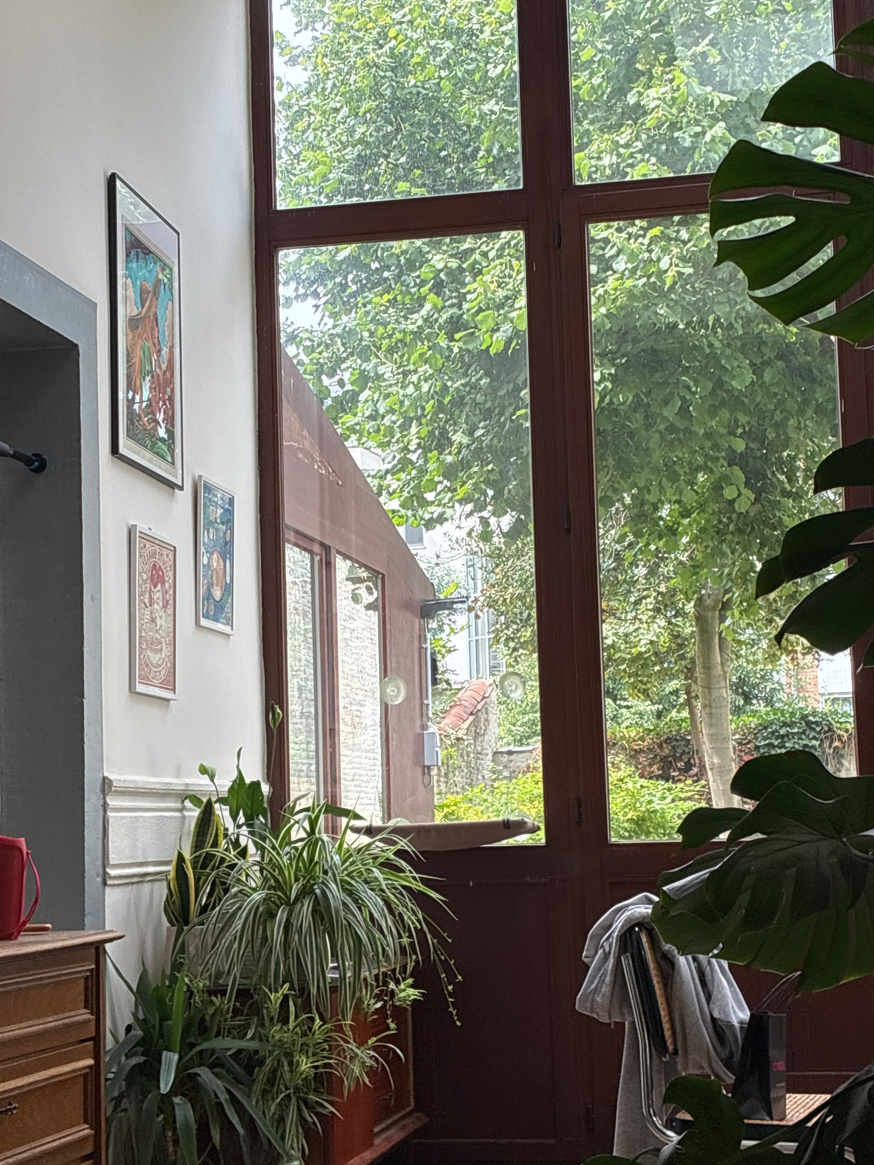 image-12