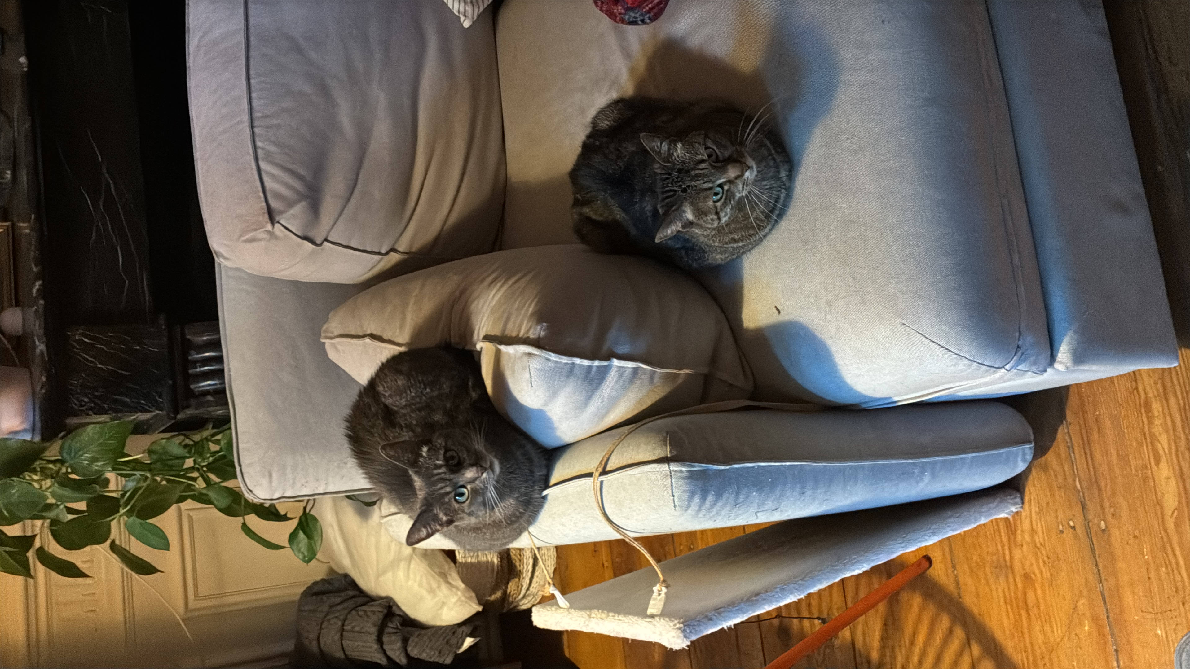 image-5