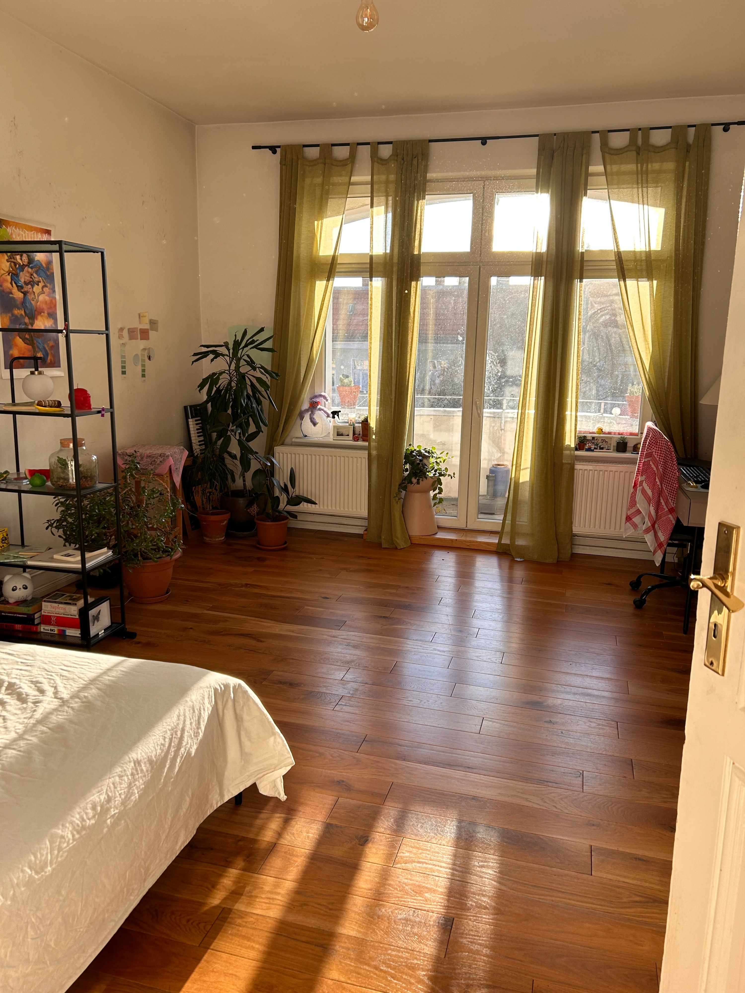 image-9