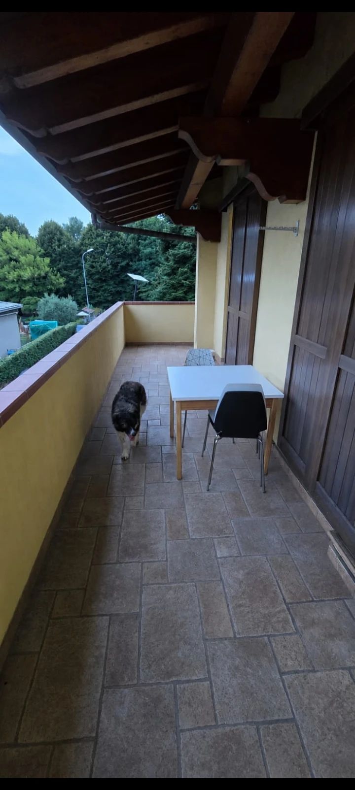 image-19