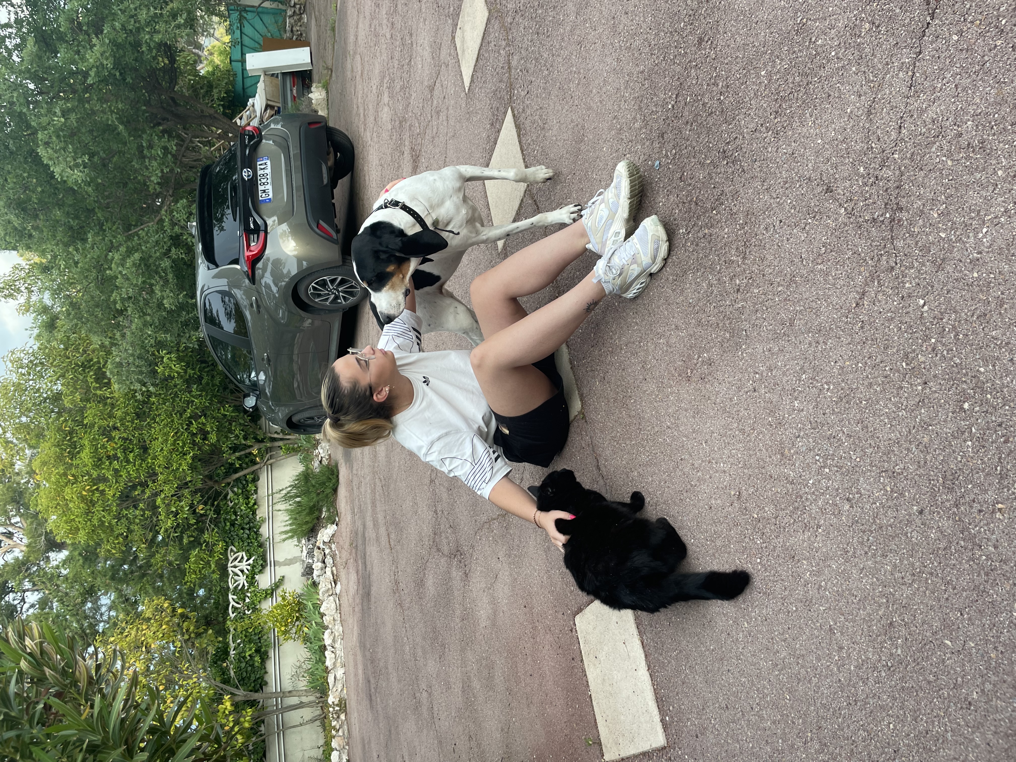 image-2