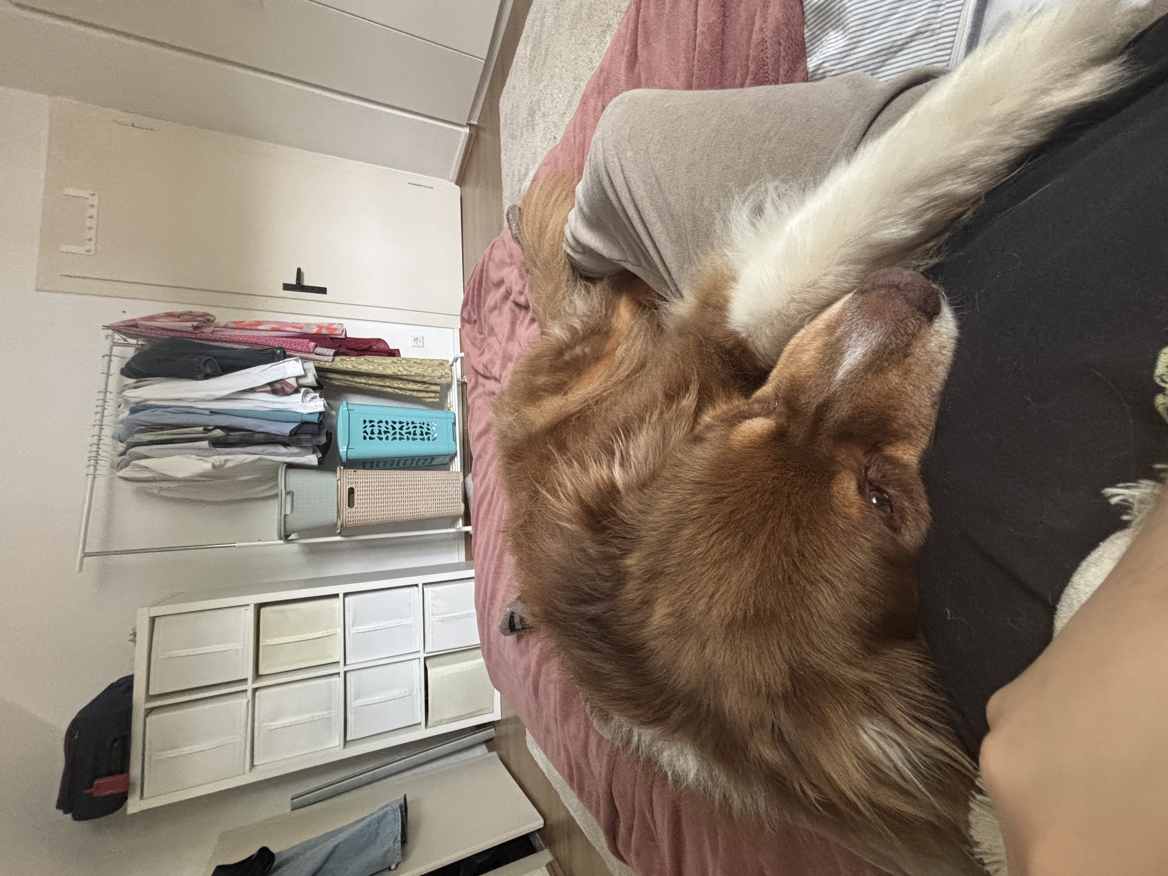 image-6