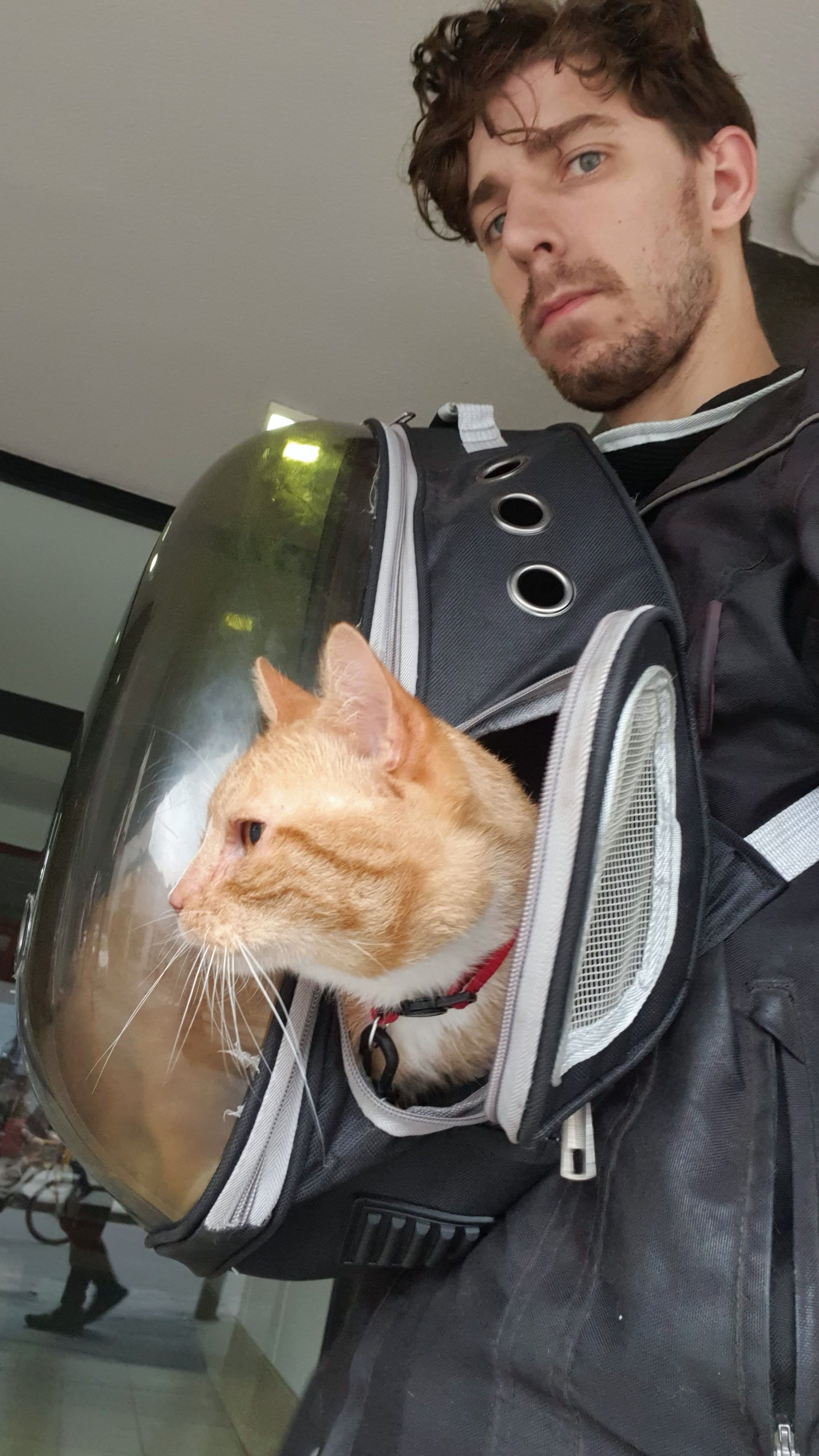 image-4