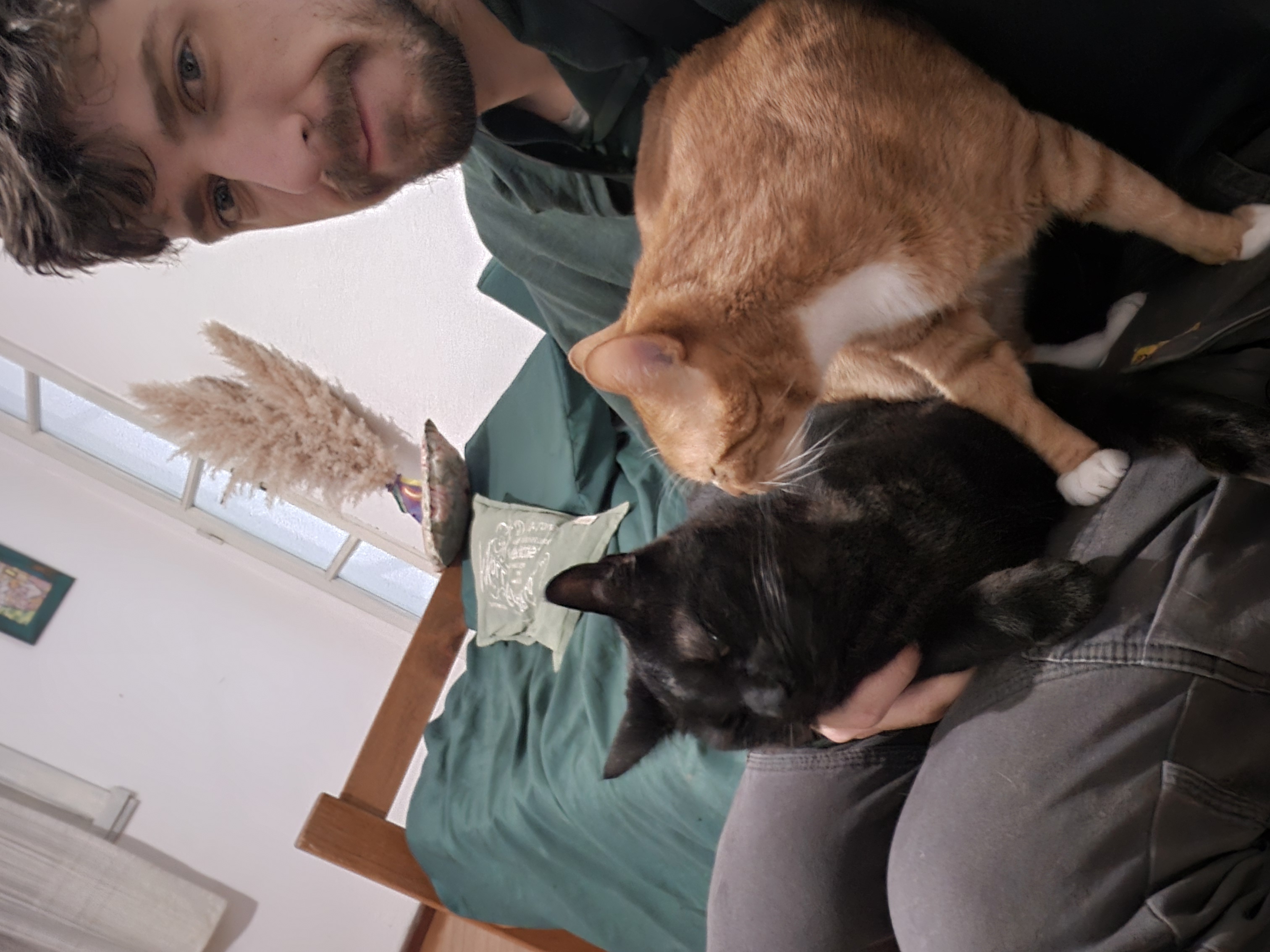 image-6