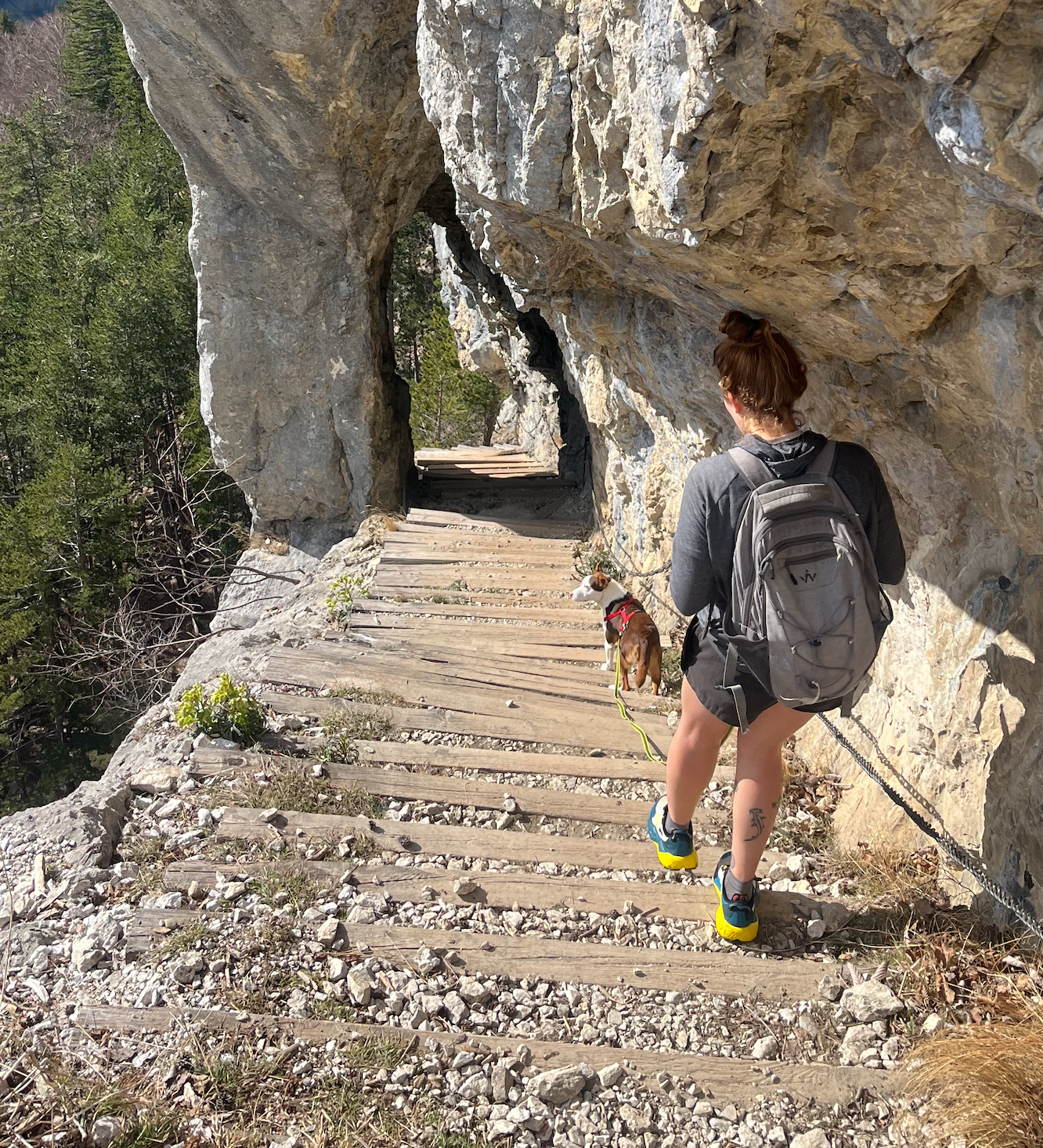 image-7
