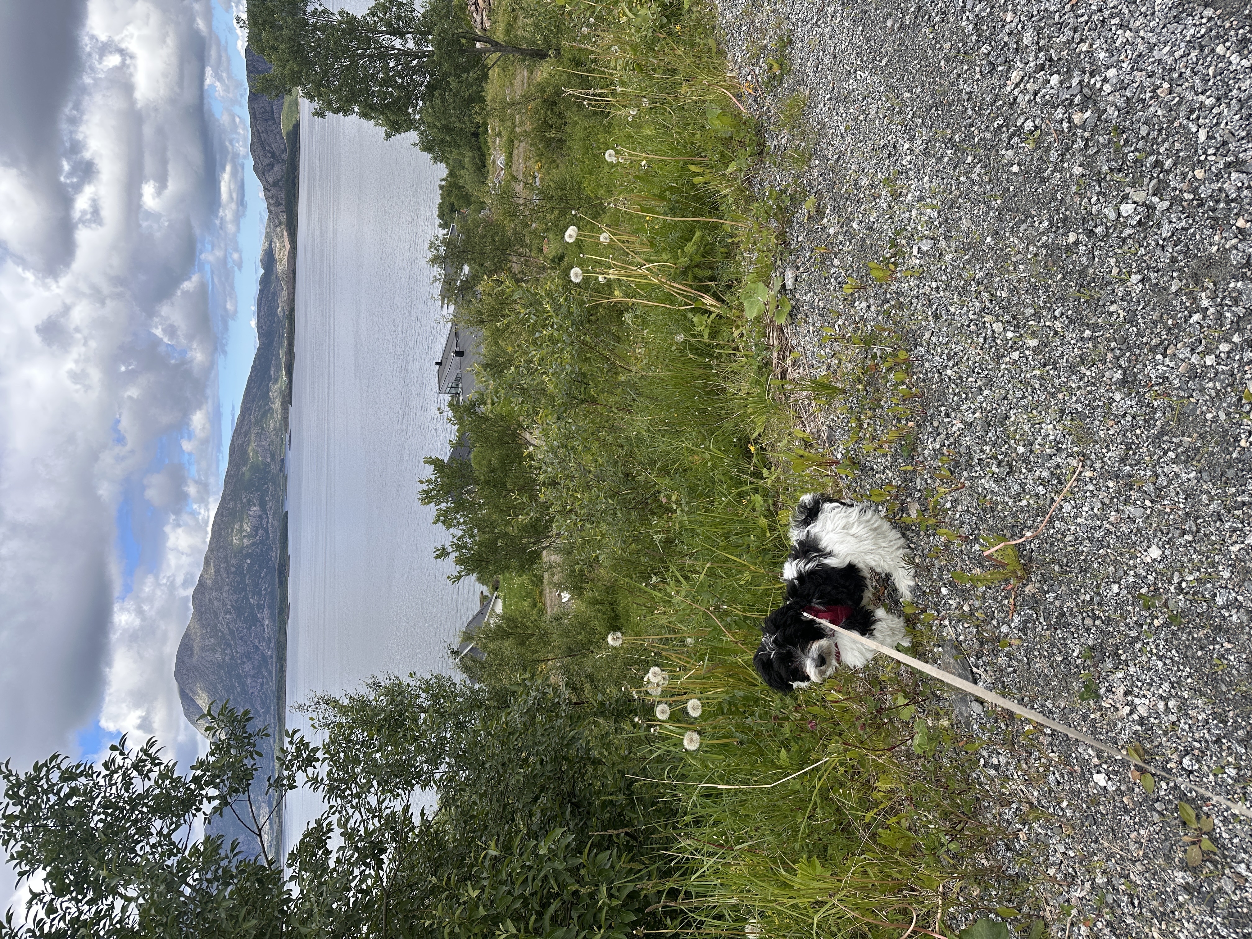 image-10