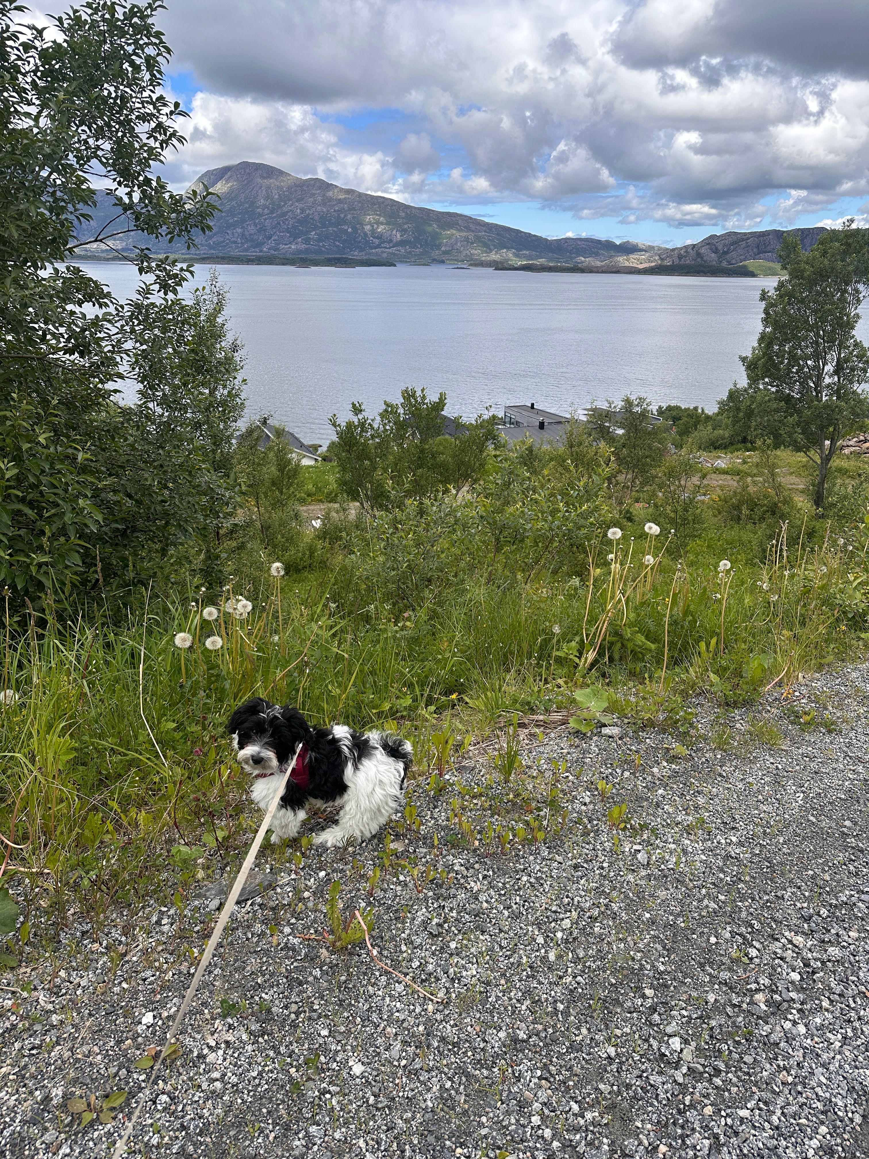 image-10