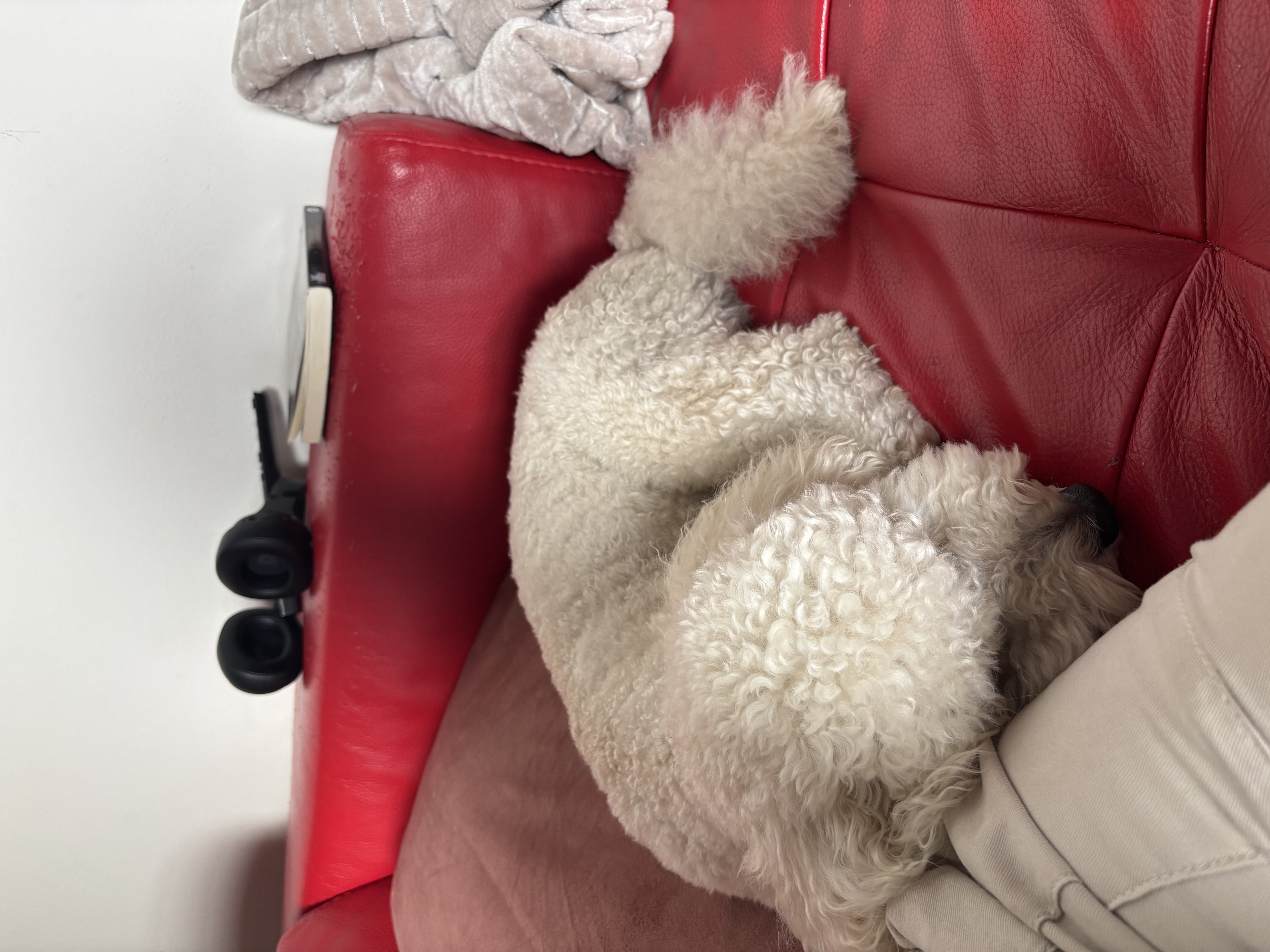 image-5
