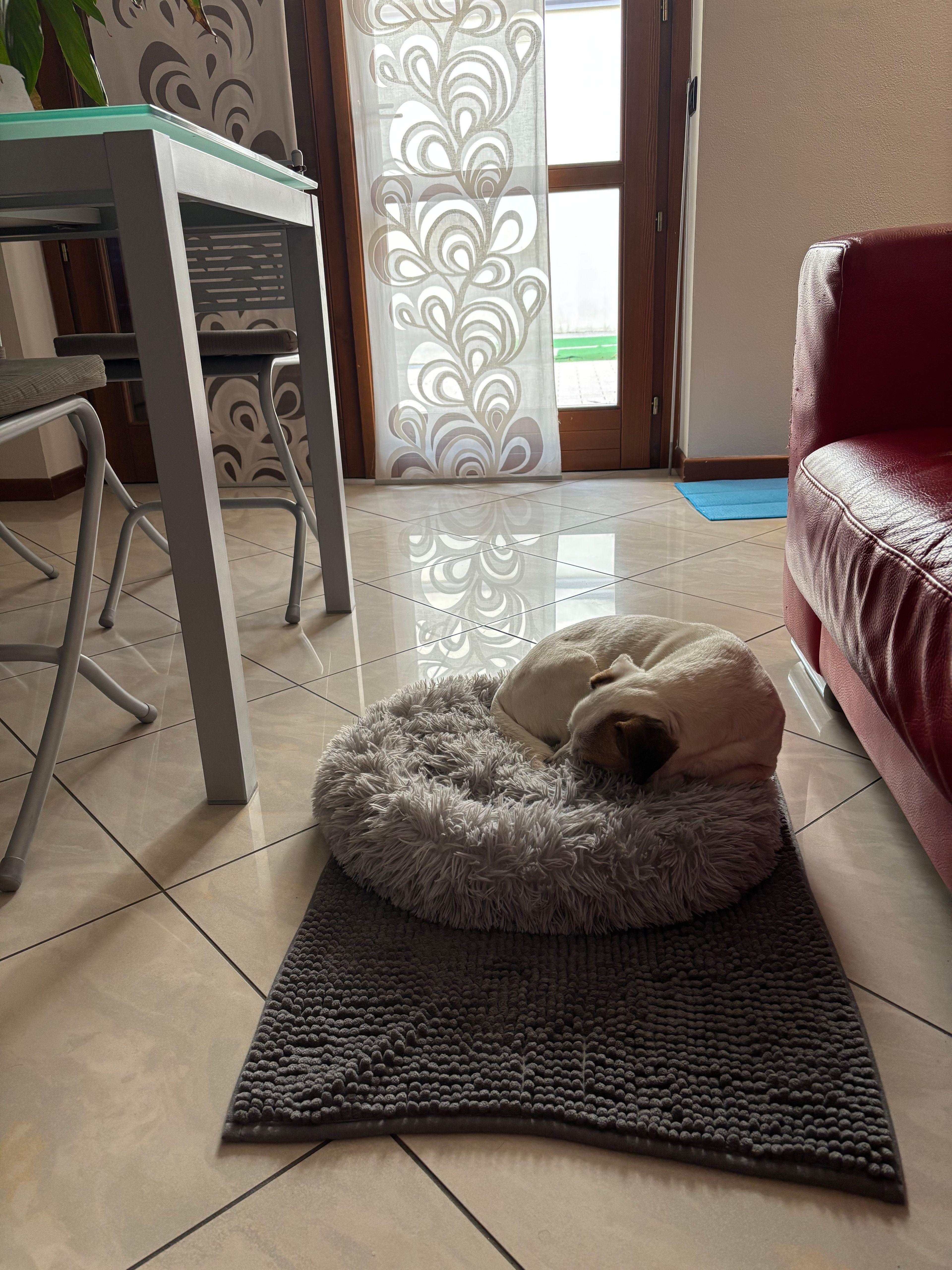 image-8