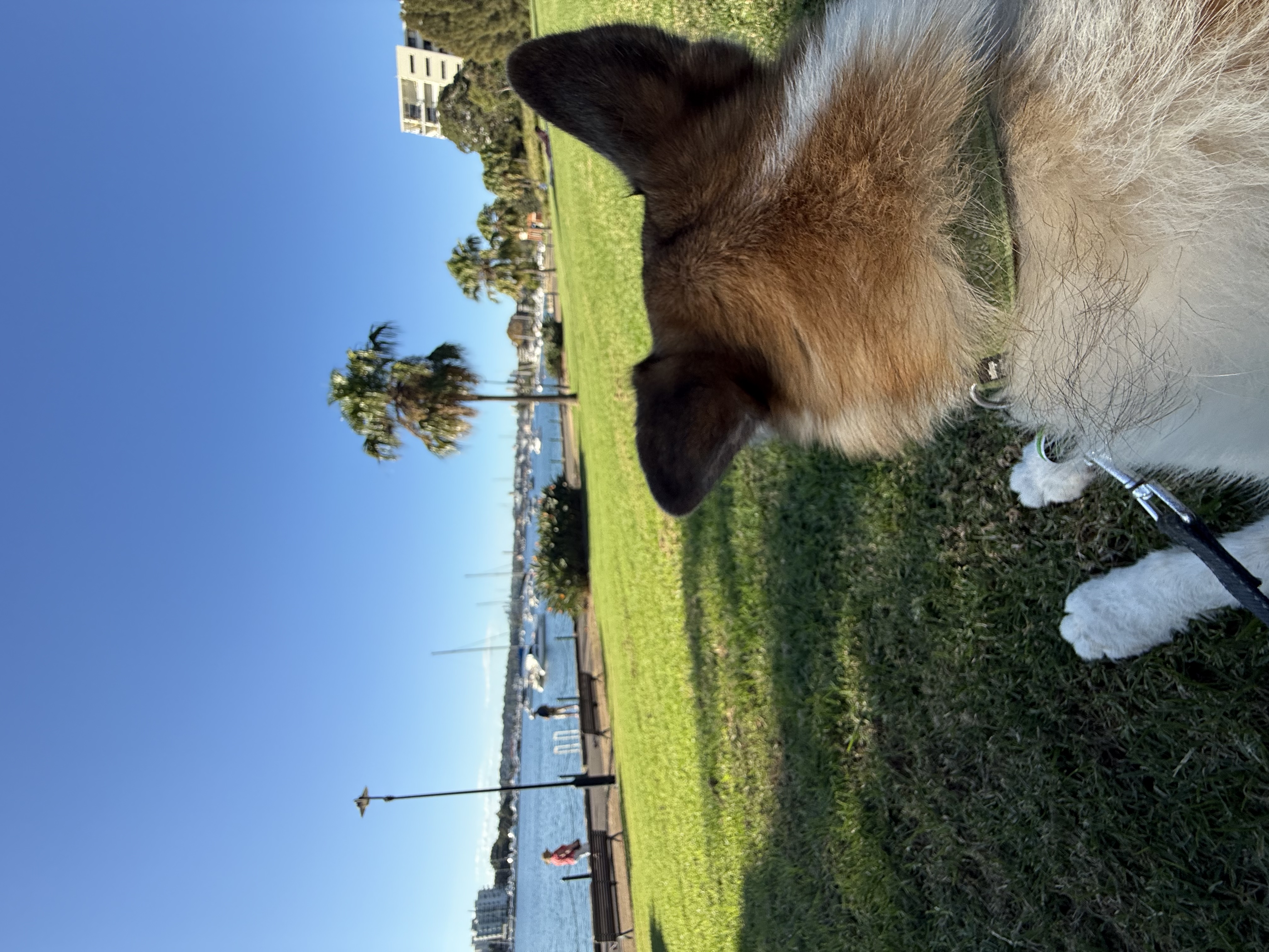 image-11