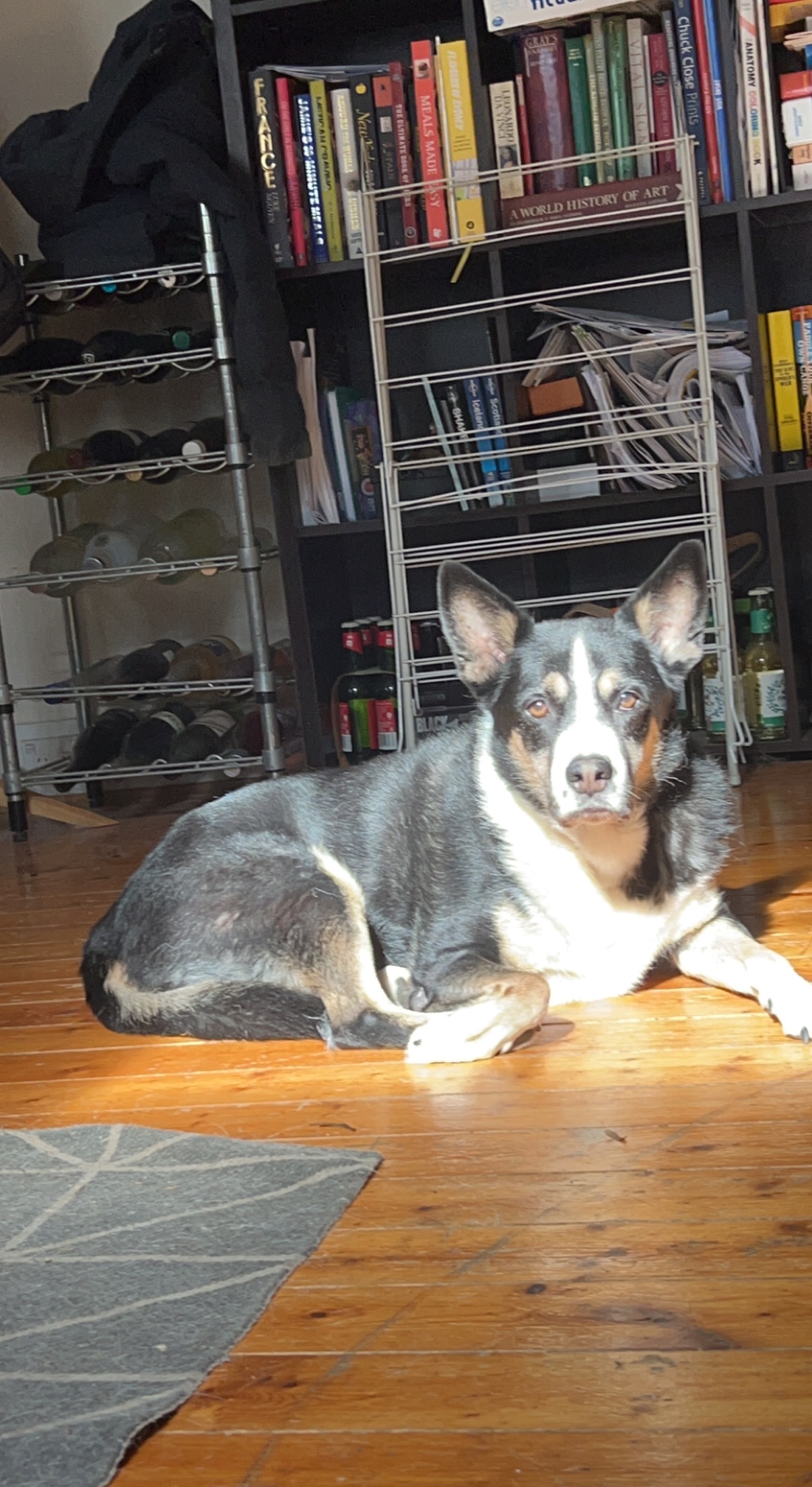 image-3