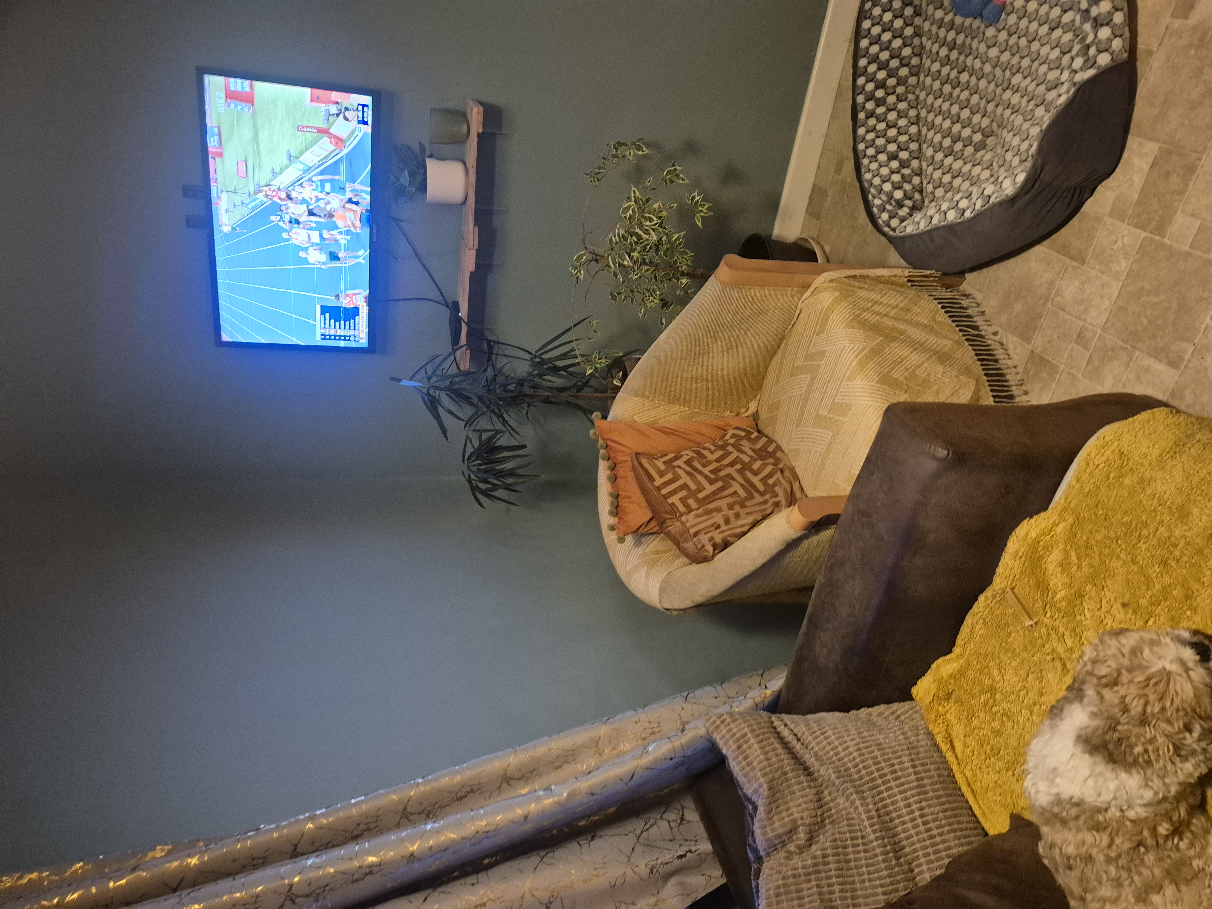 image-4