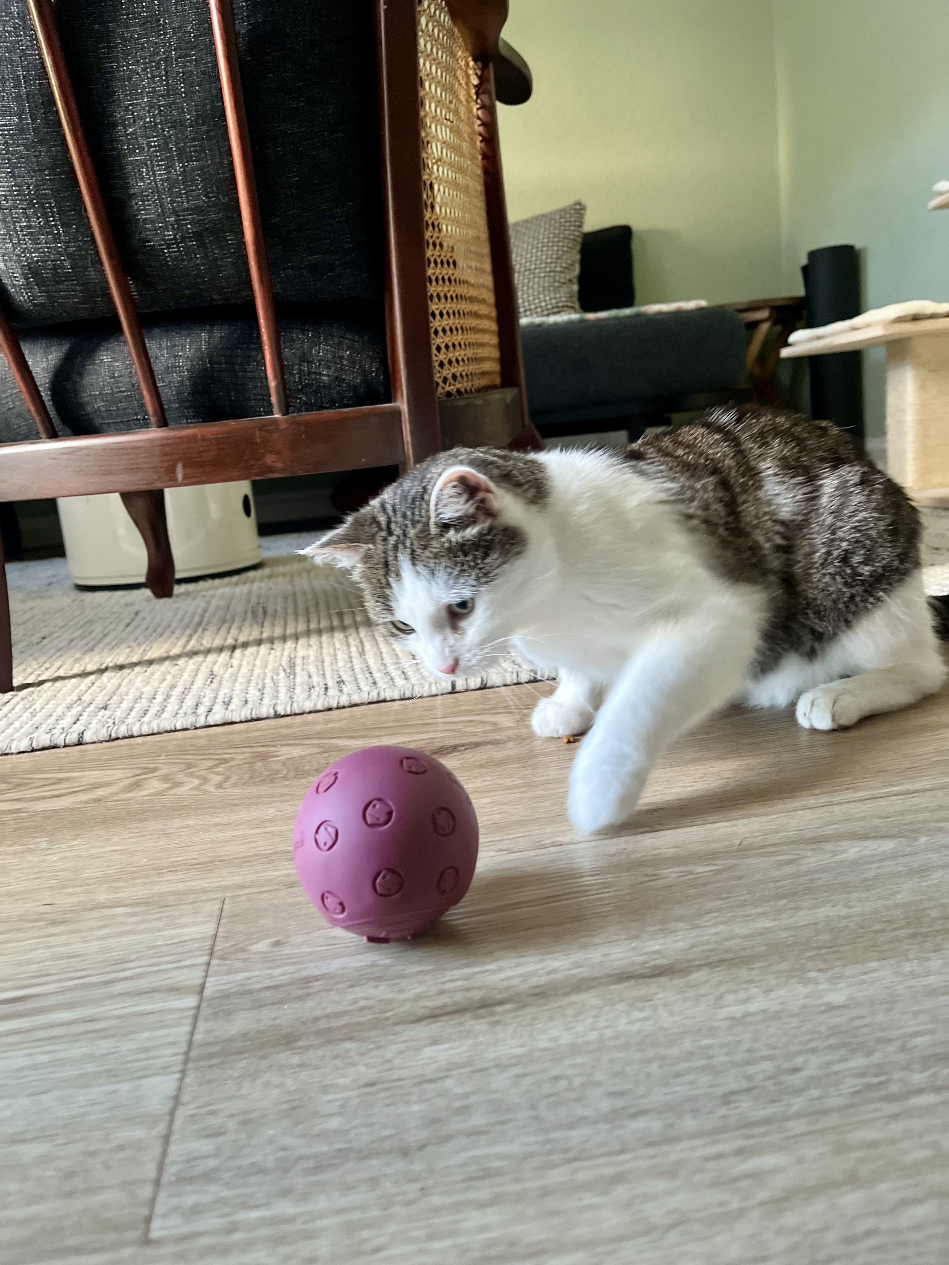 image-11