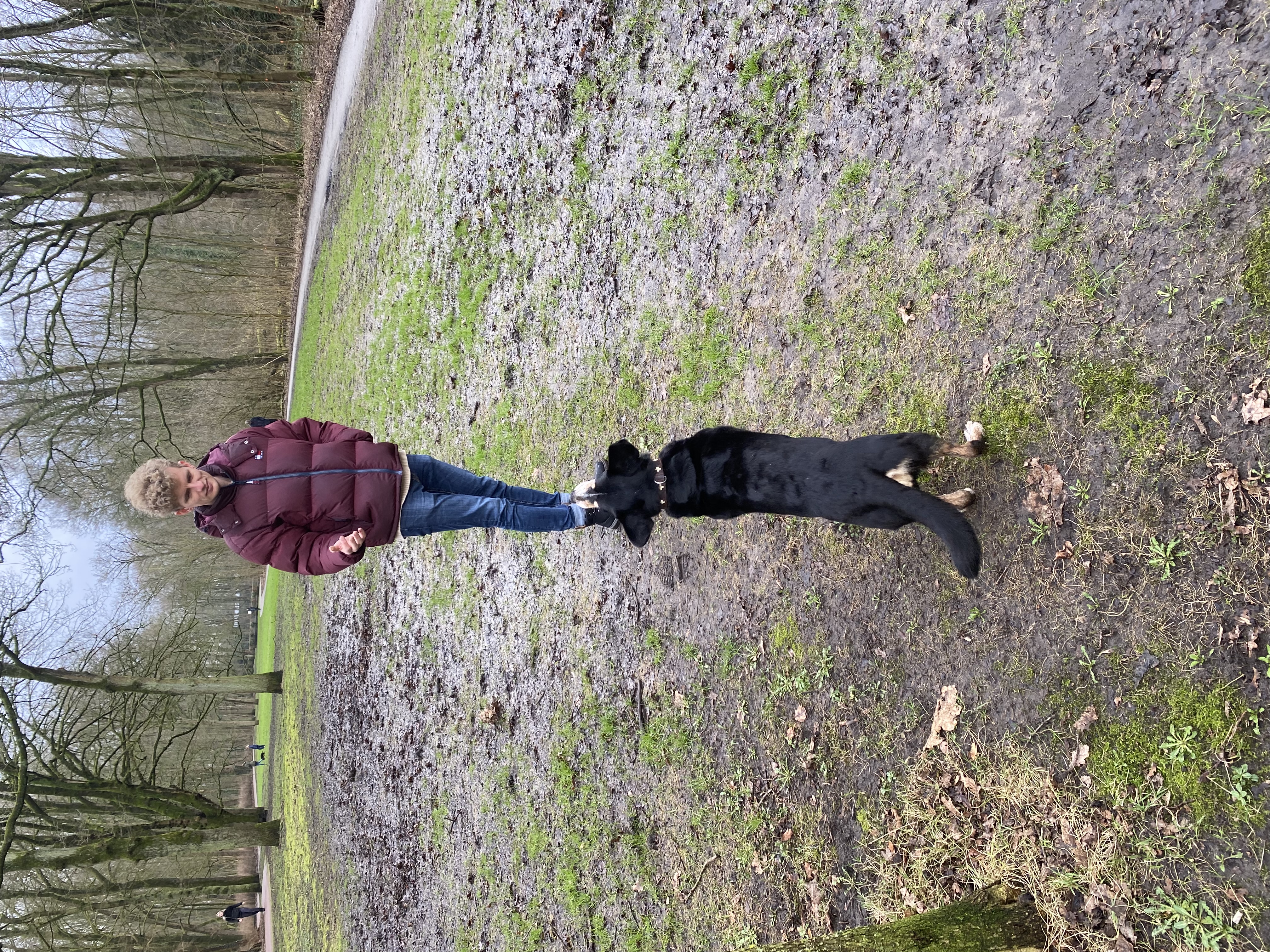 image-15