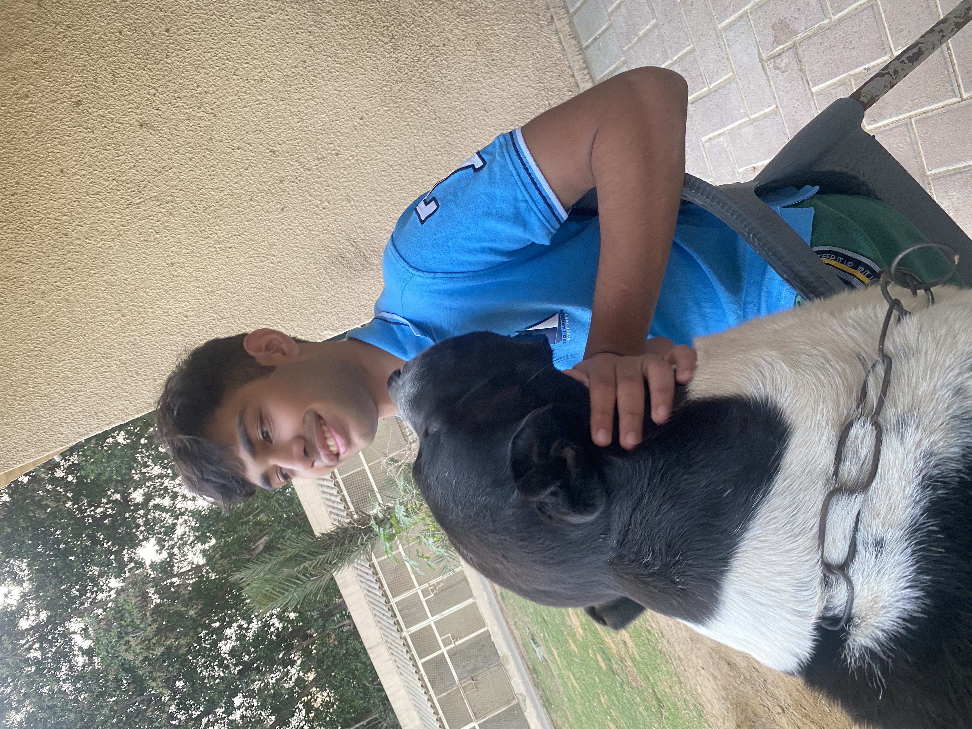 image-7