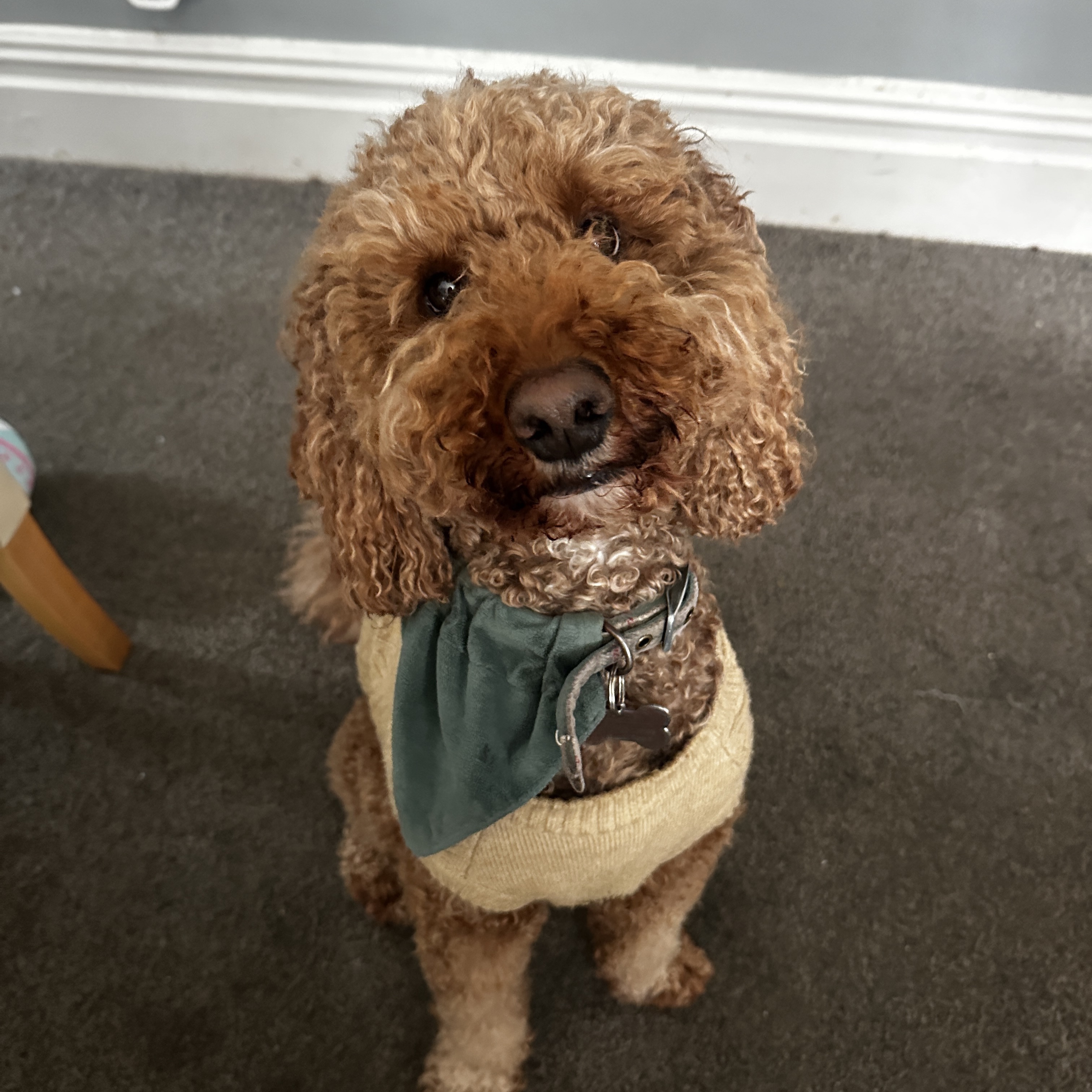 Monty
