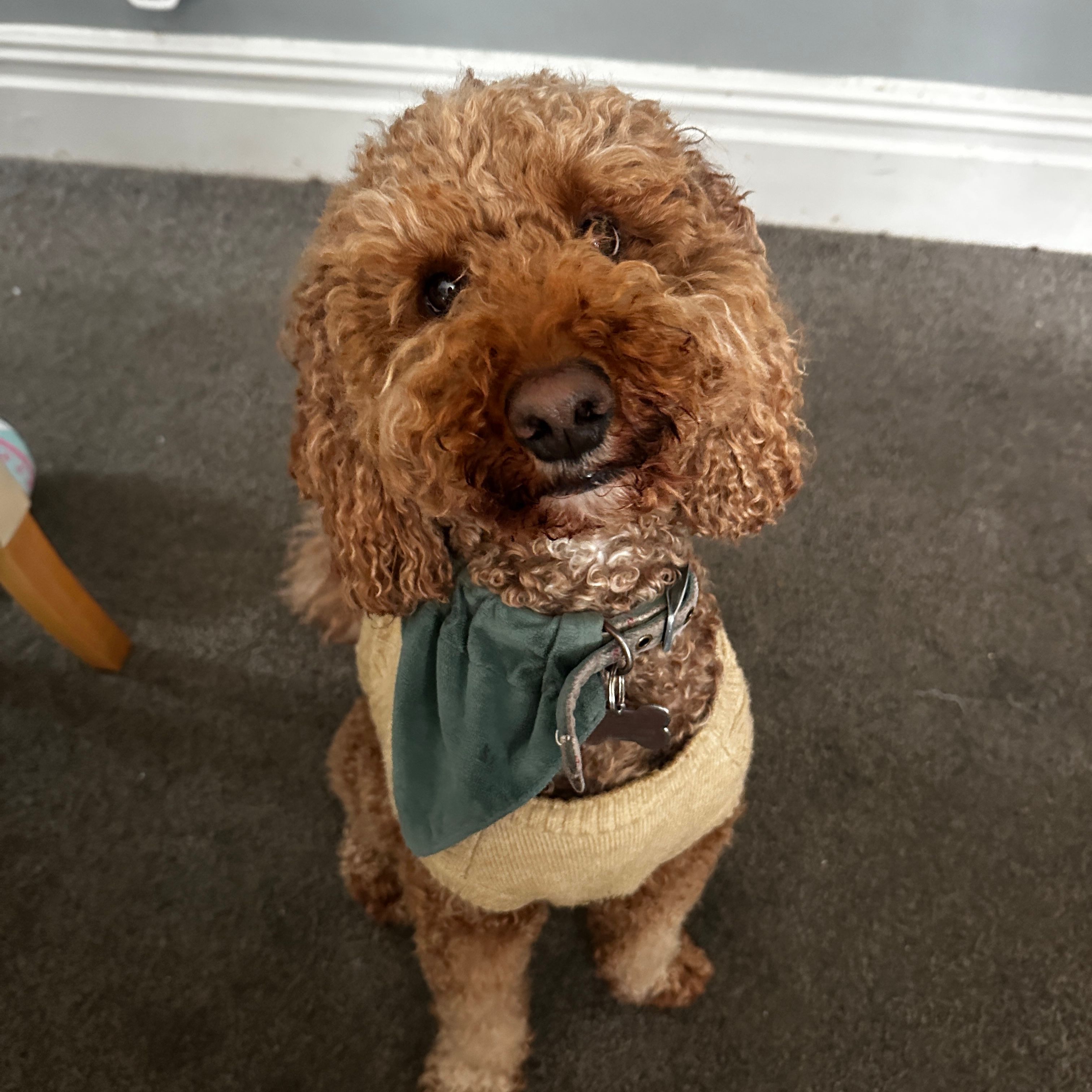 Monty