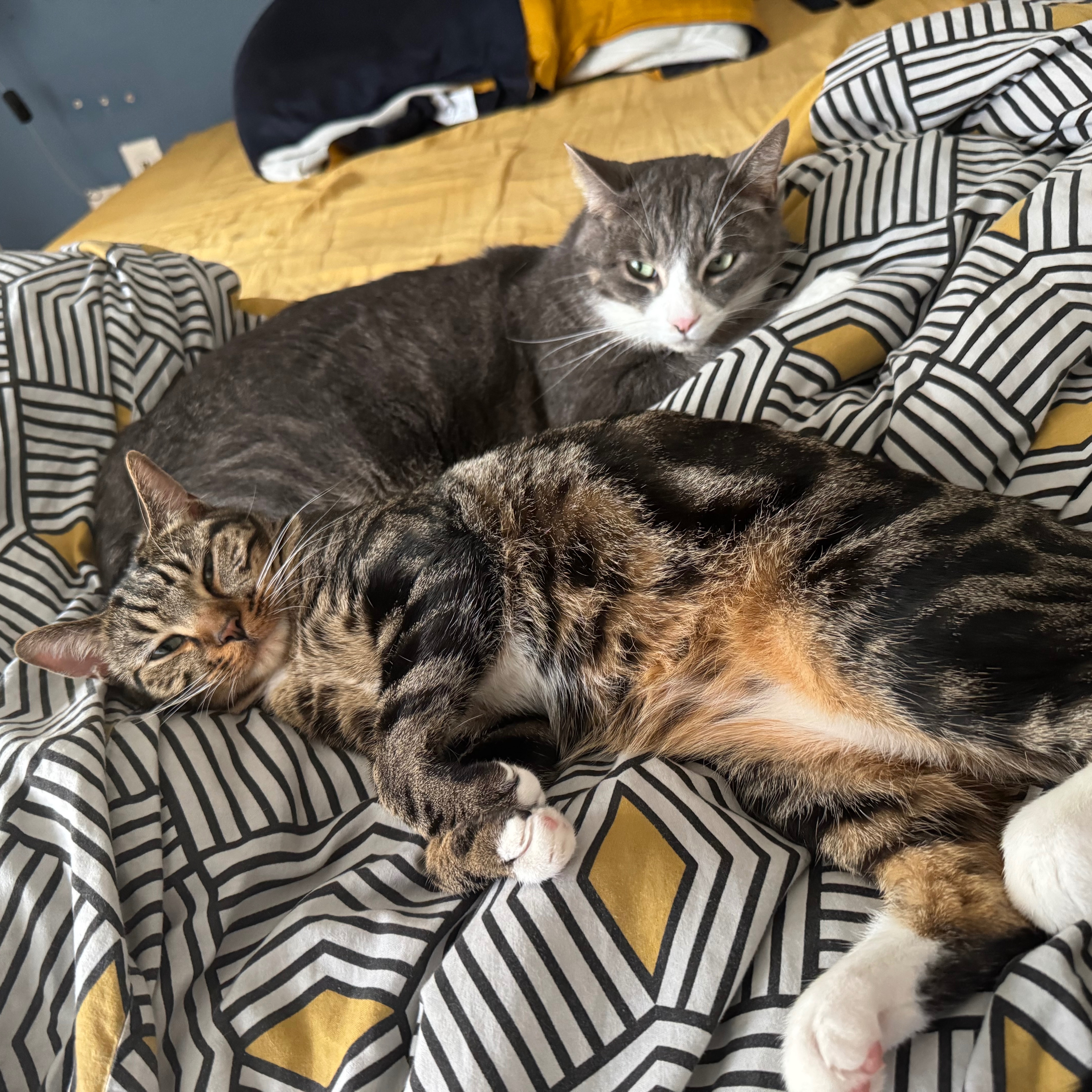 Silver et Baïa 