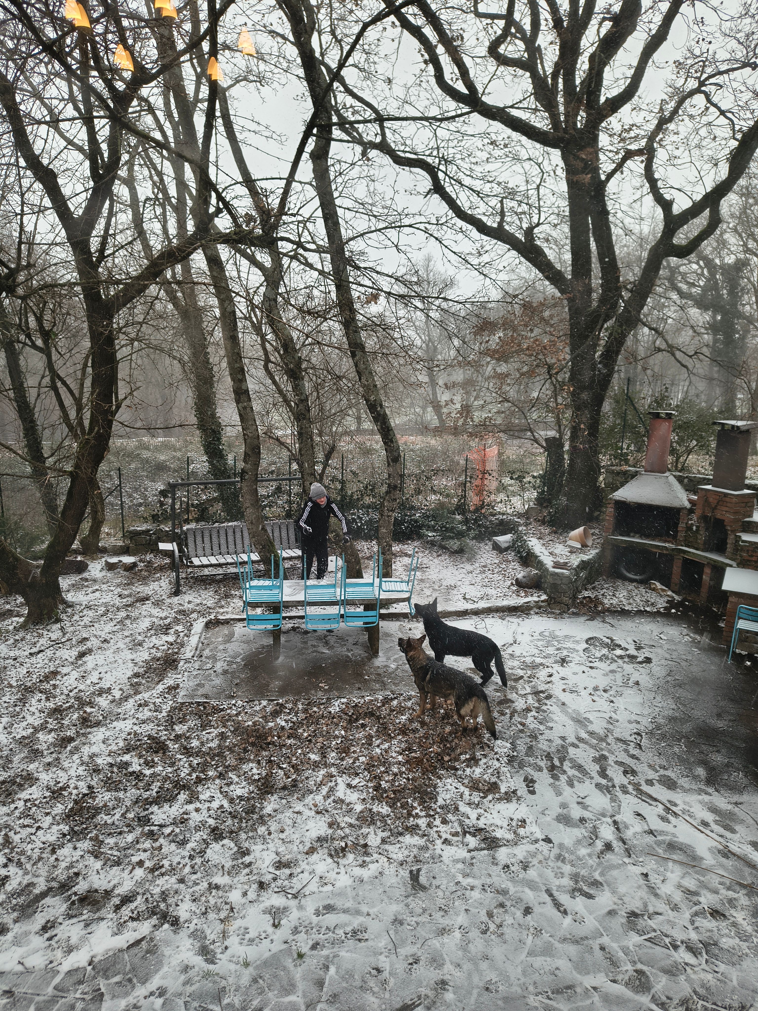 image-6