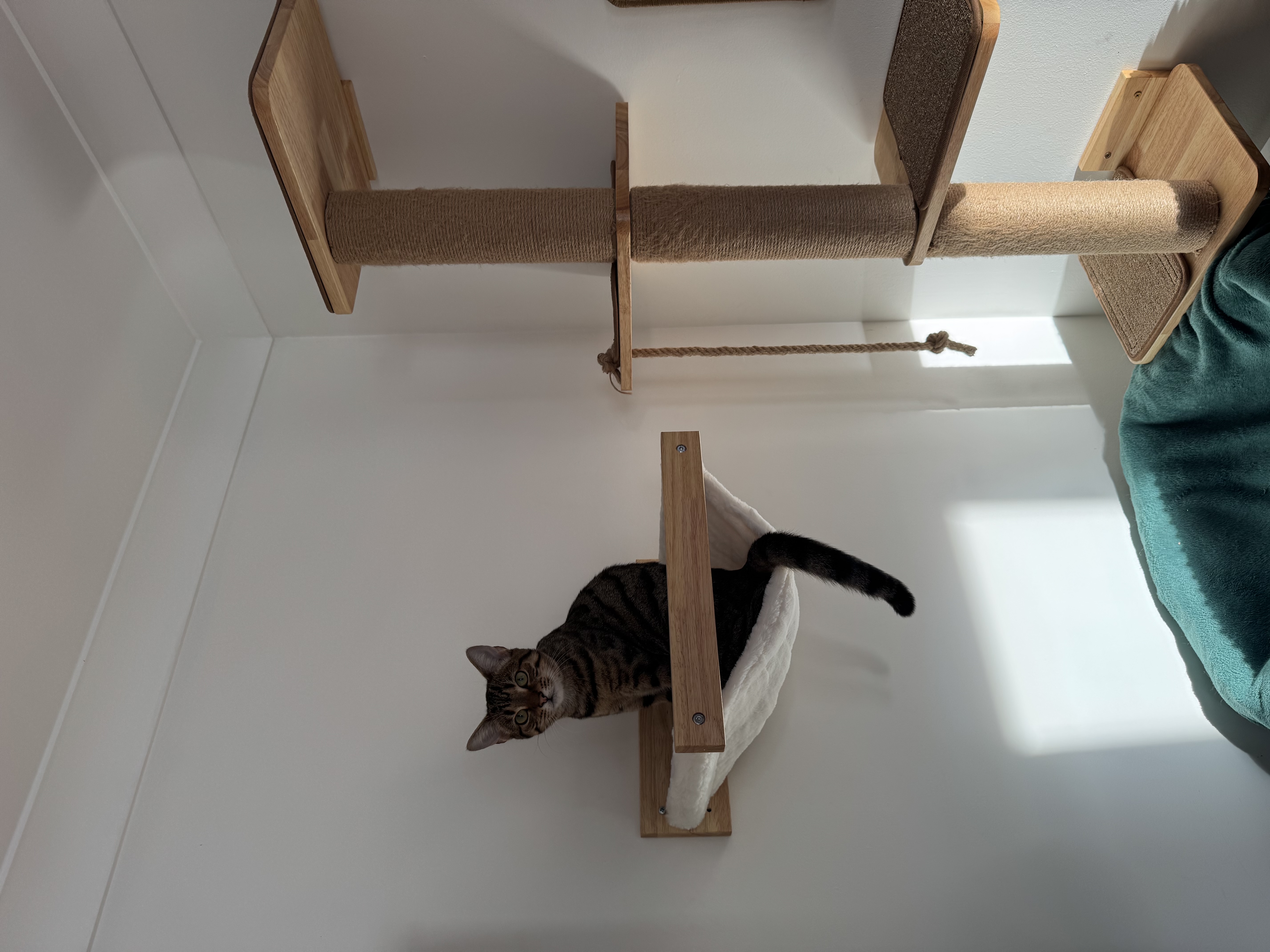 image-16