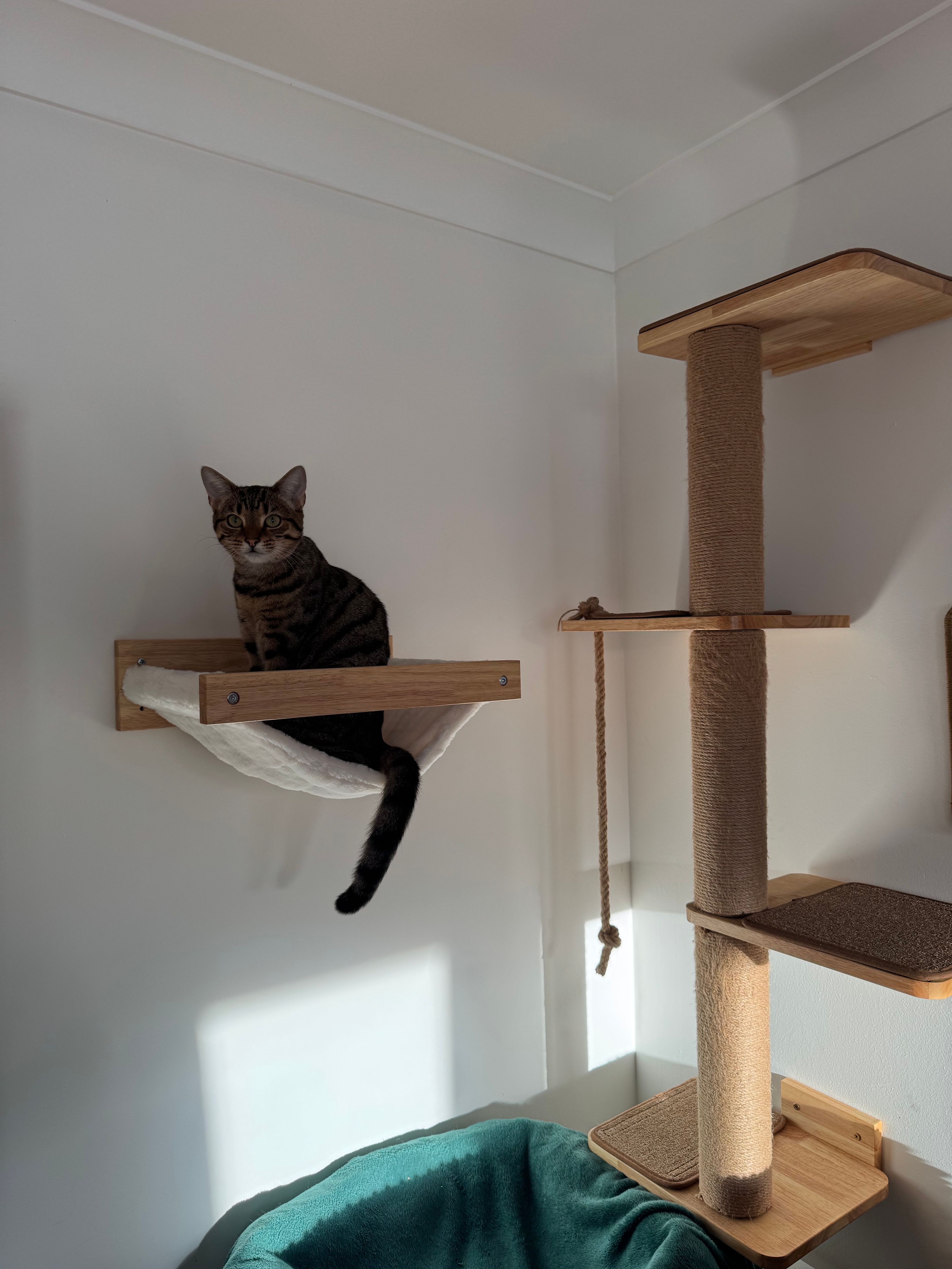 image-16