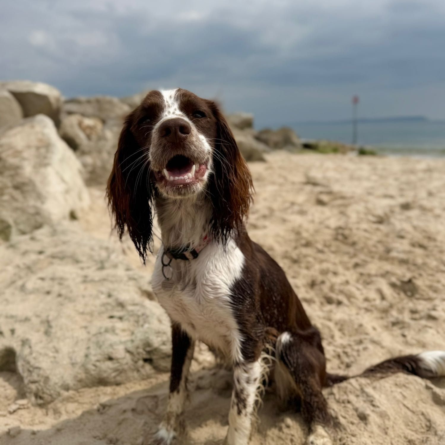 Delilah