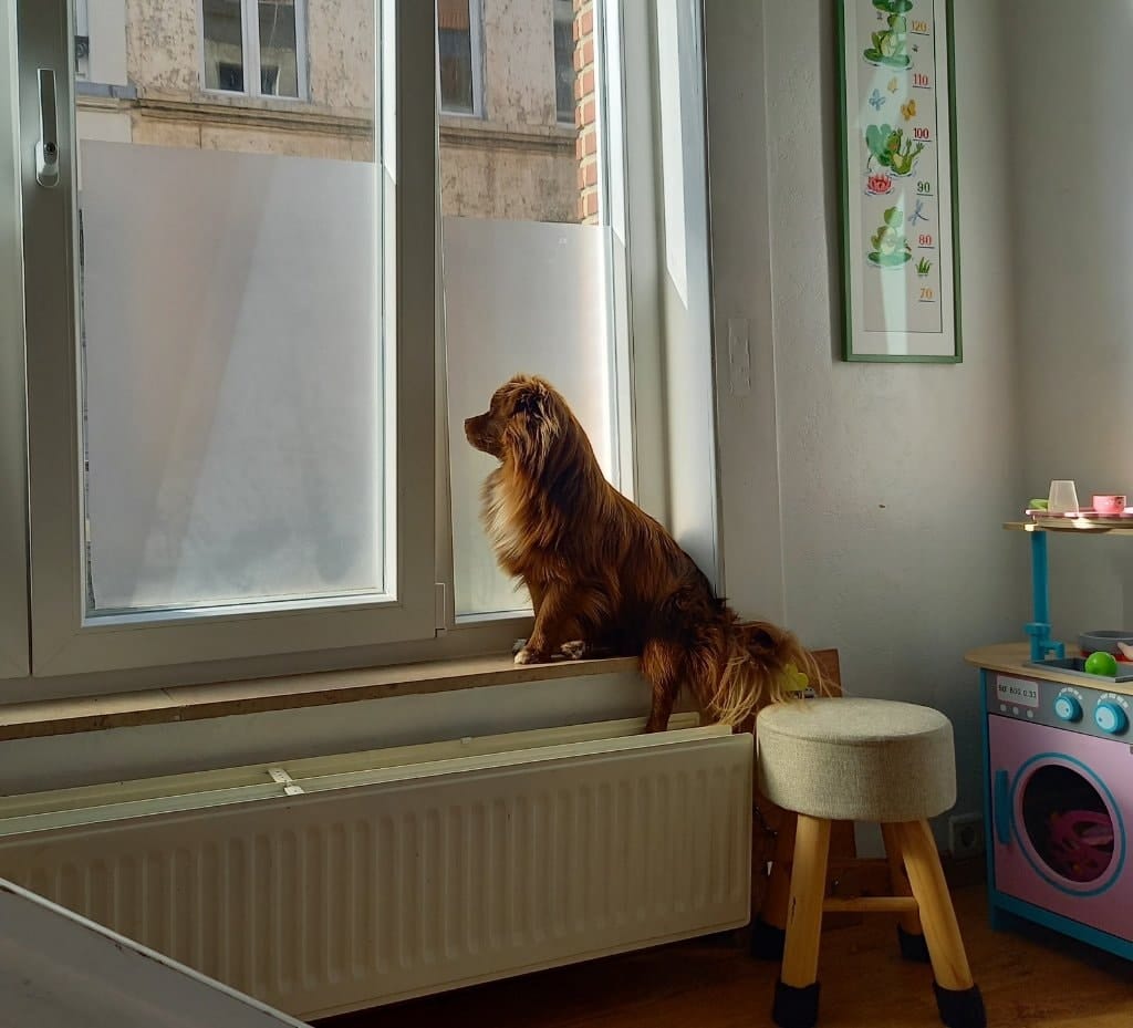 image-9