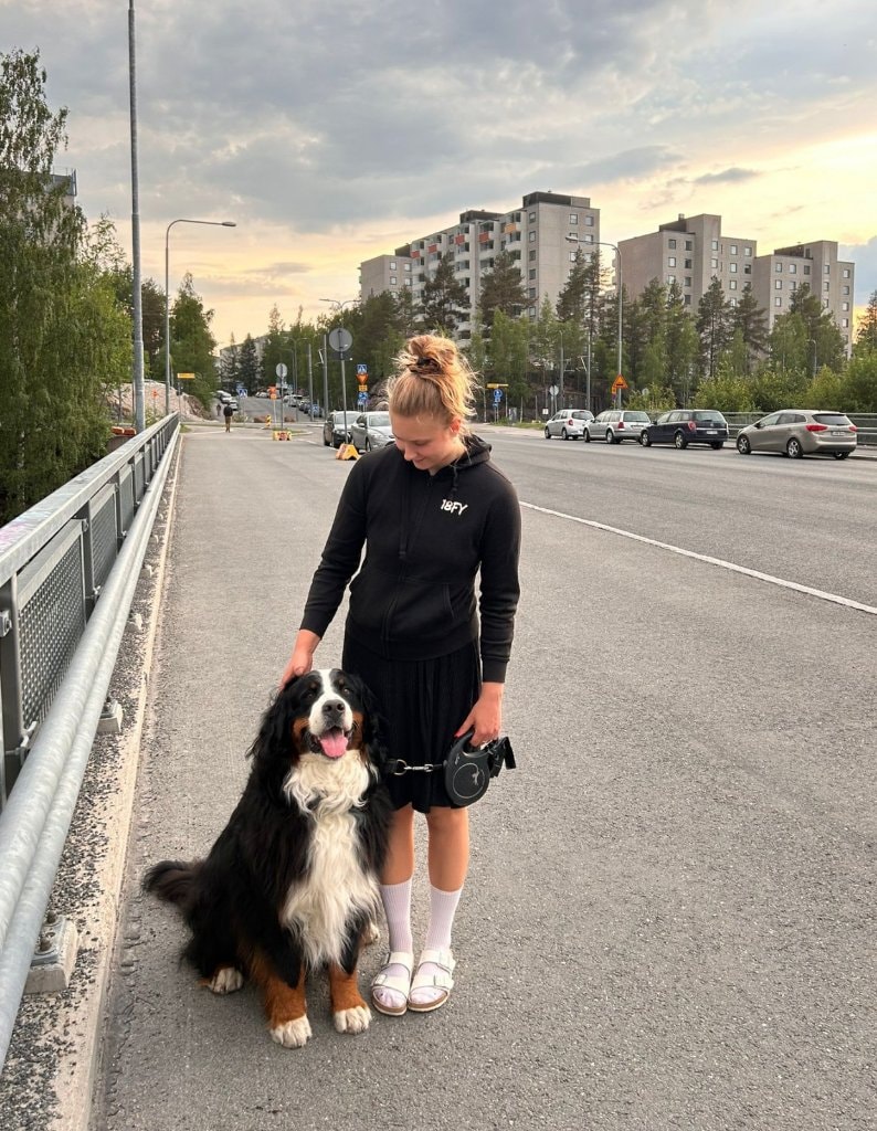 image-9