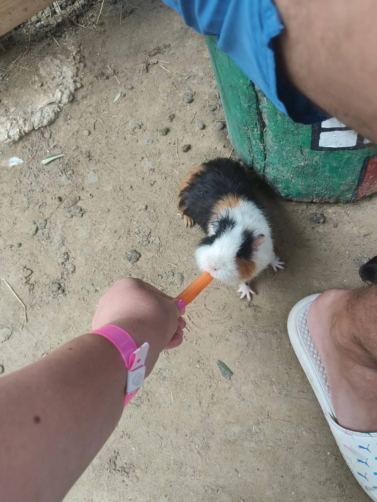 image-8
