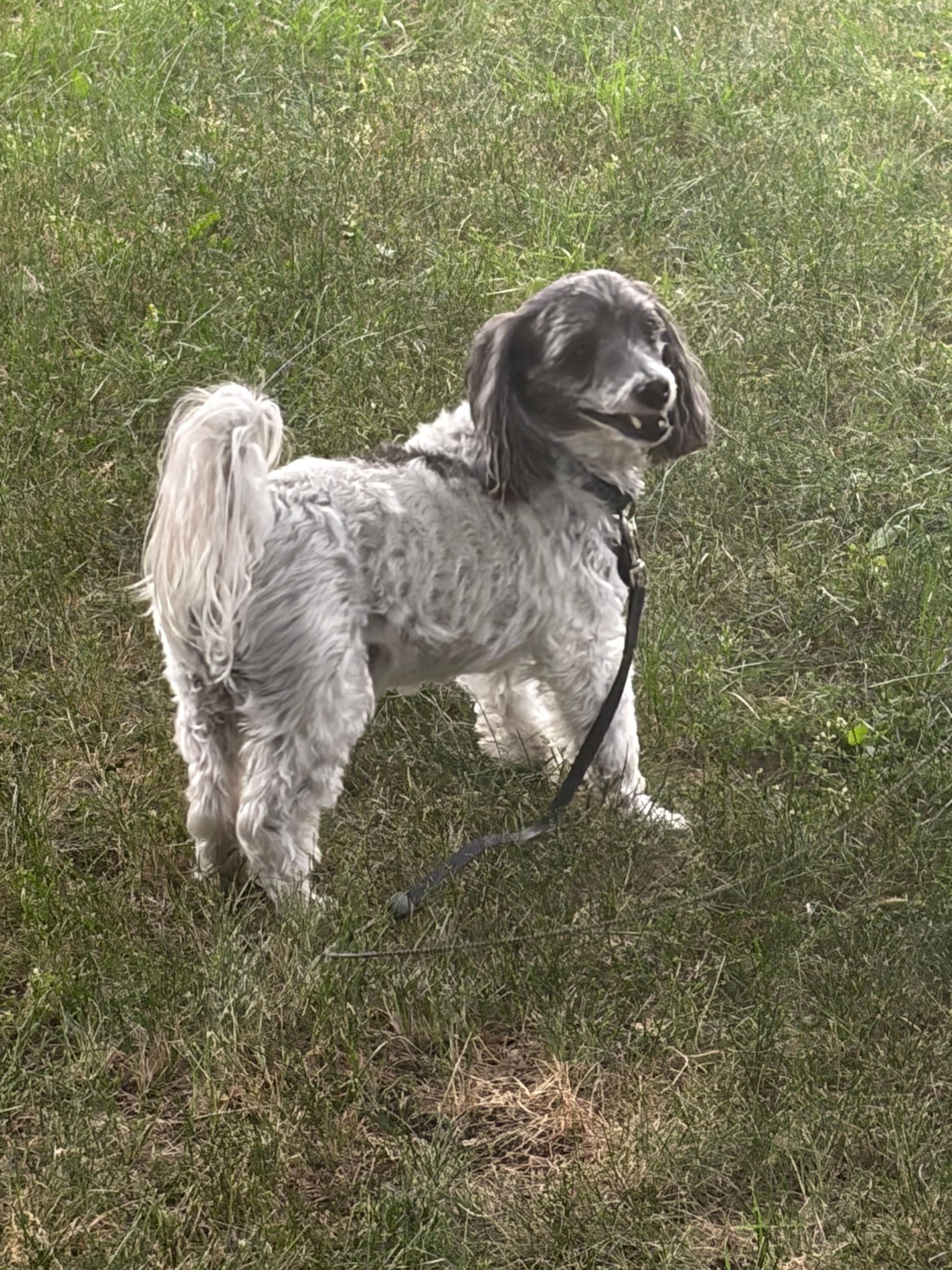 image-13