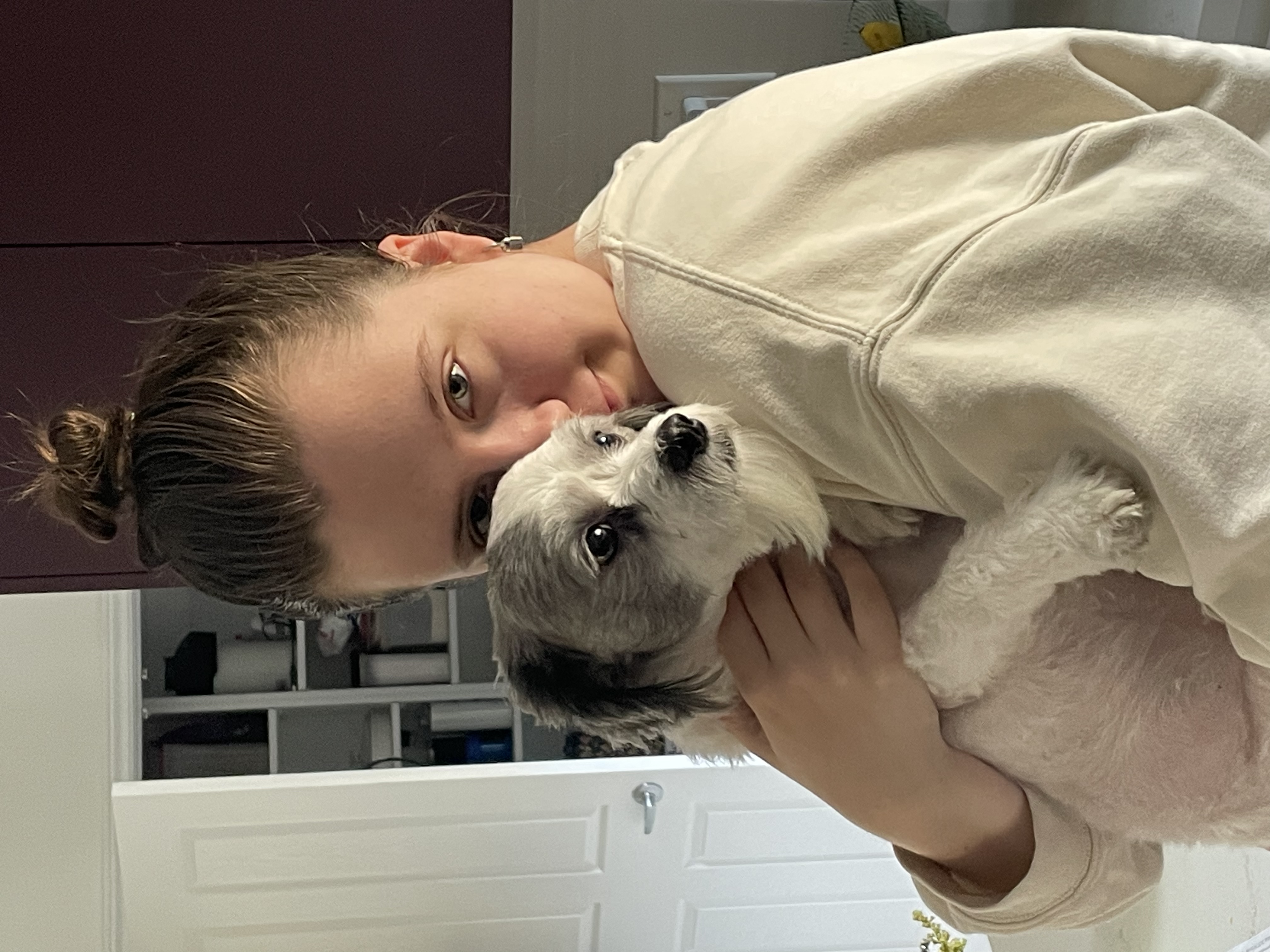 image-11